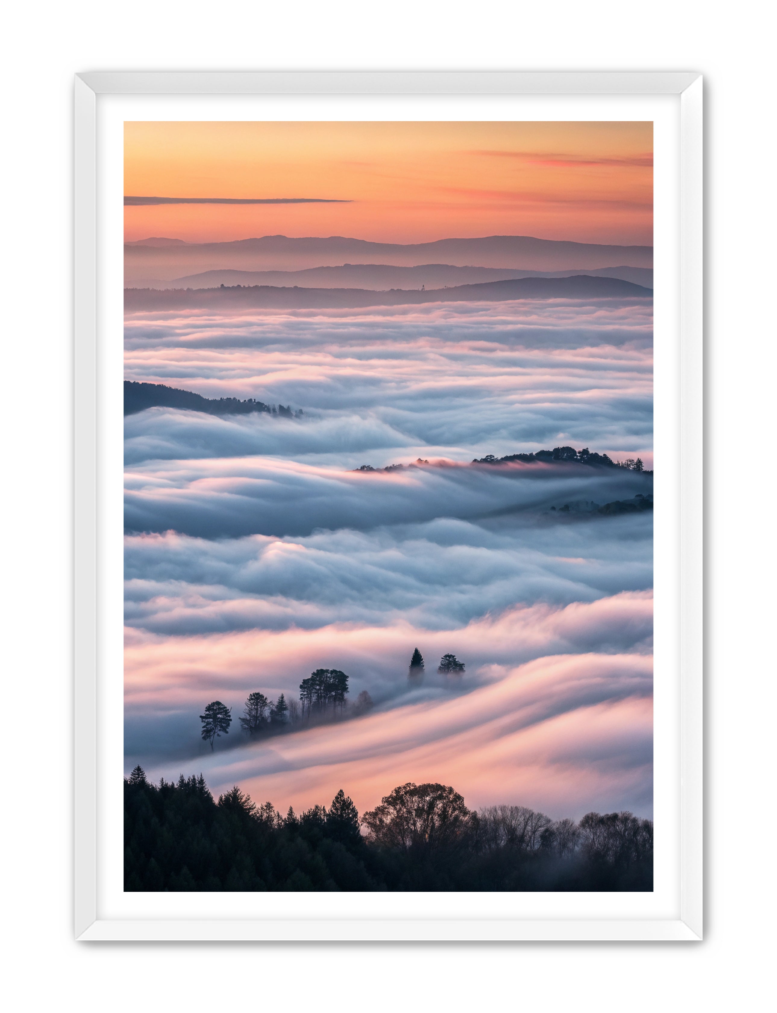 Apricus Prints 'Clouded Canopy' Apricus Art Collection