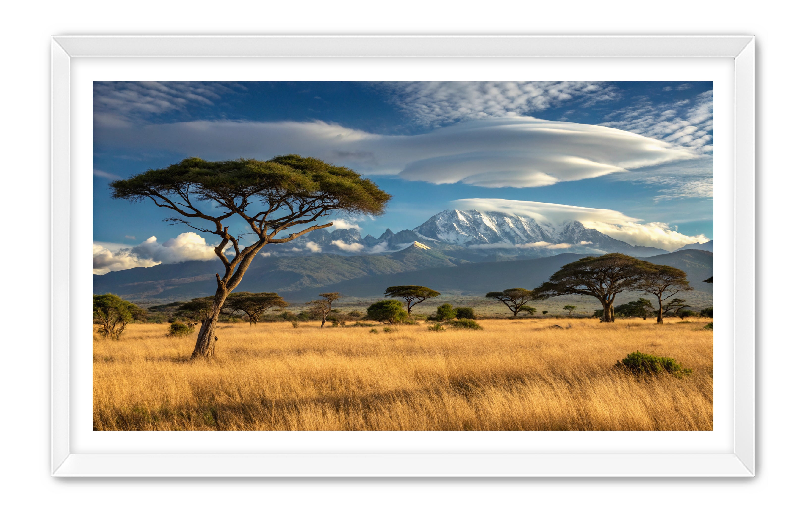 Apricus Prints 'Safari Layers' Apricus Art Collection