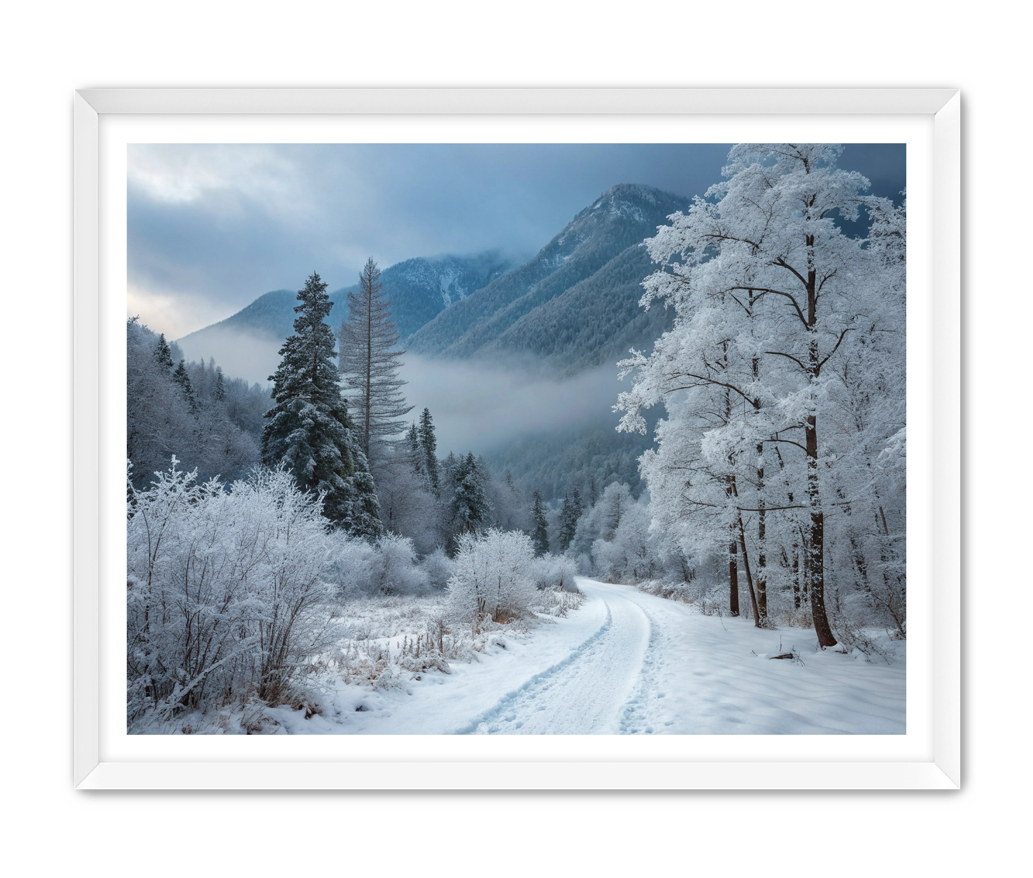 Apricus Prints 'Telluride Way' Apricus Art Collection