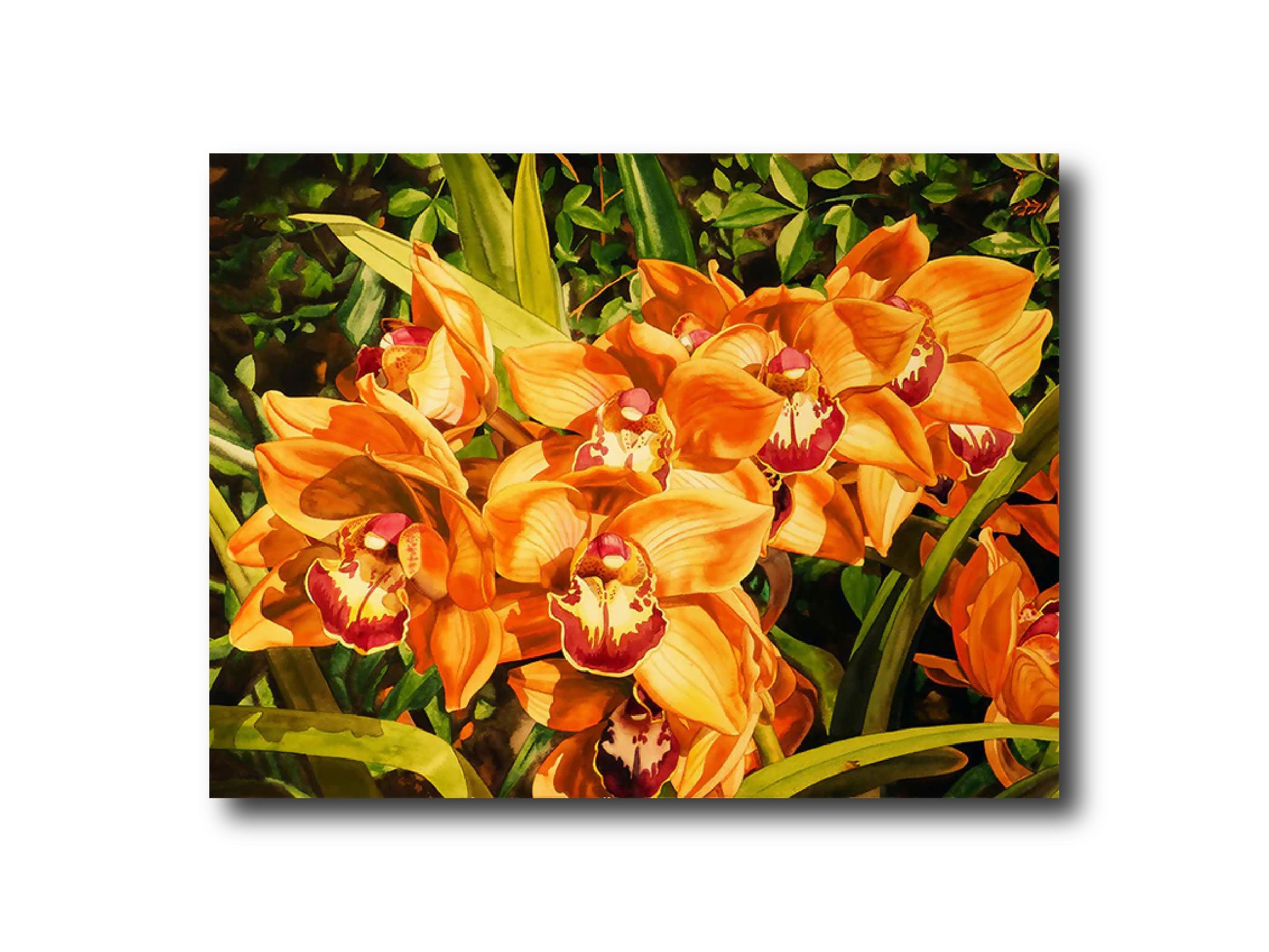 Orange Orchid