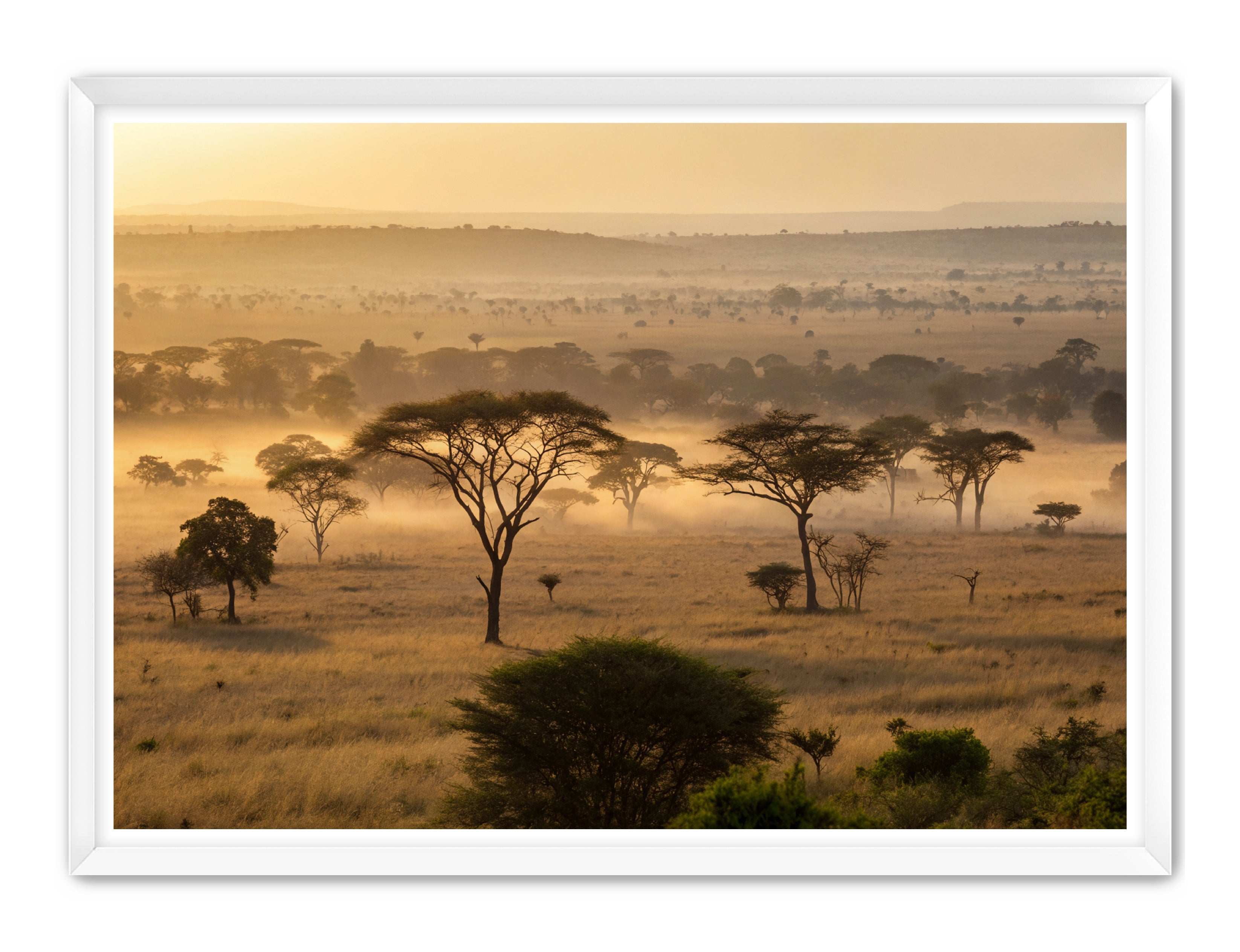 Apricus Prints 'Sunrise on the Serengeti' Apricus Art Collection