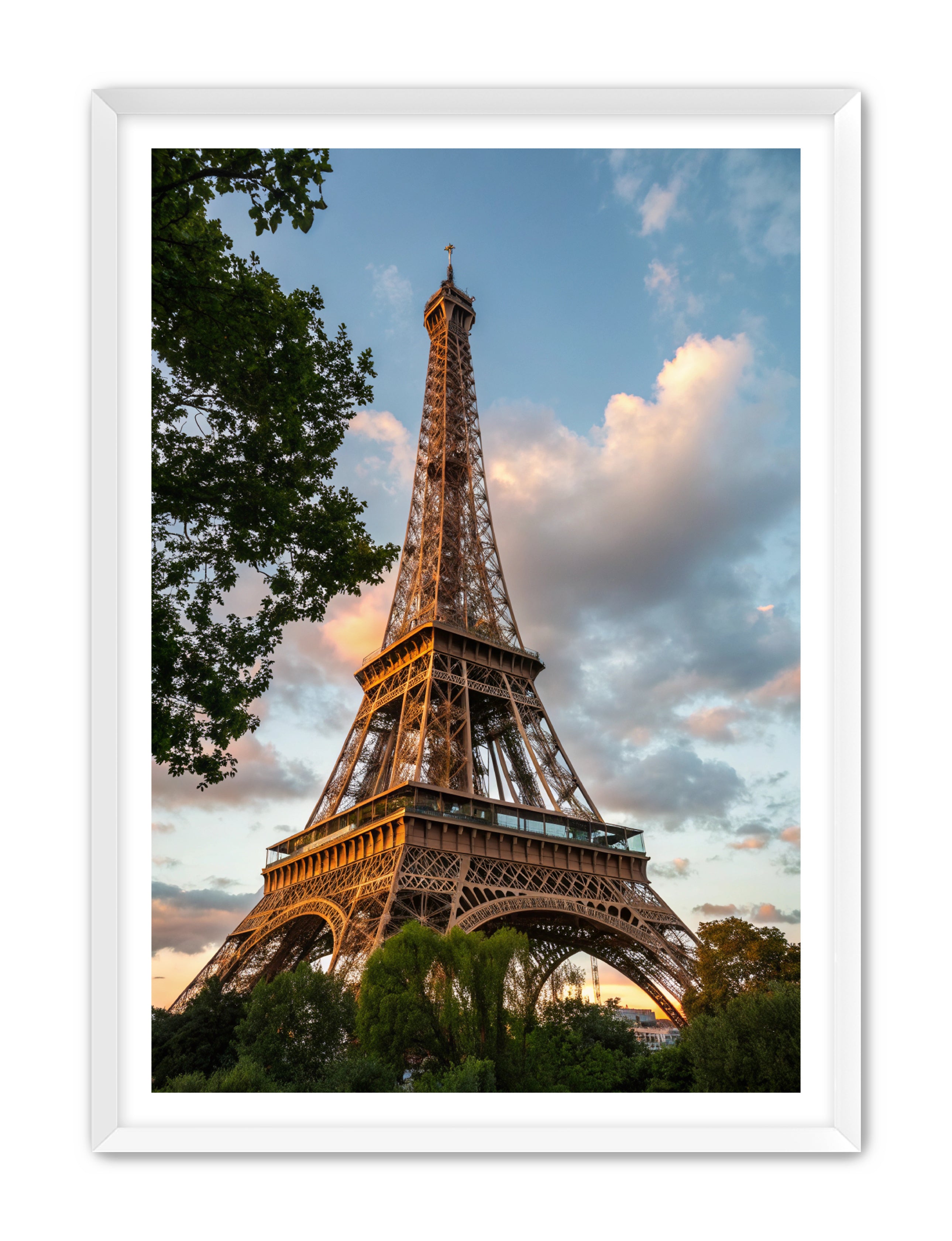 Apricus Prints 'Paris Bloom' Apricus Art Collection