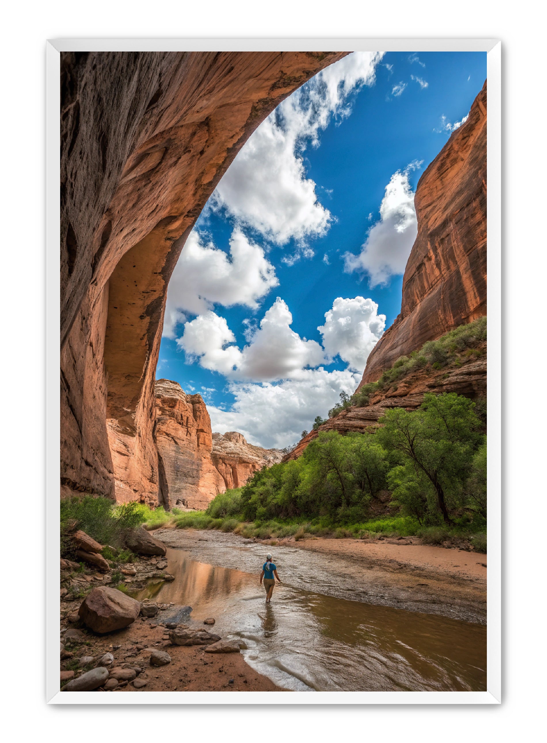 Apricus Prints 'Arches Creek' Apricus Art Collection