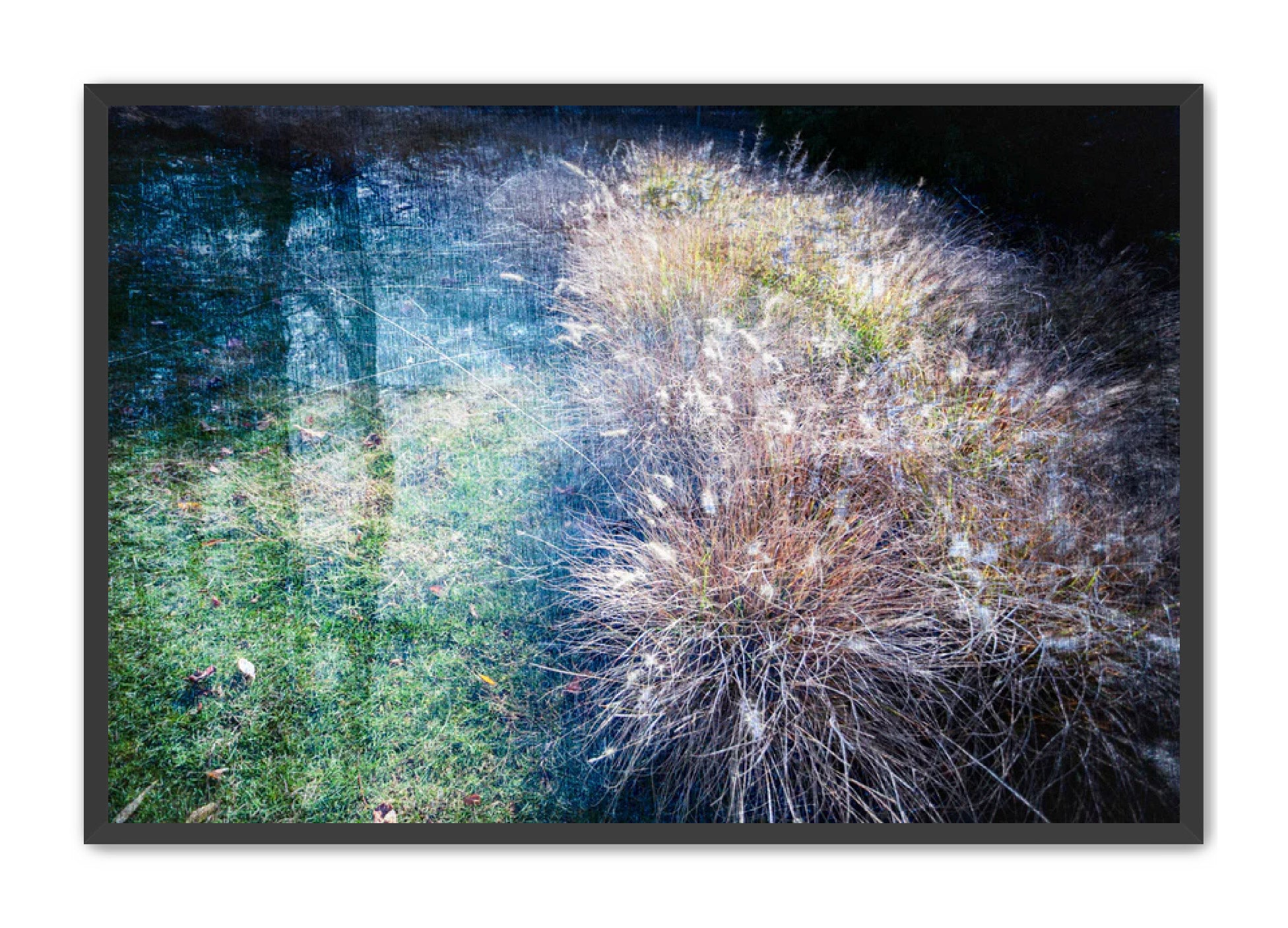 PhotoArt Prints 'GRASSES' Danielle Neumann Kelly