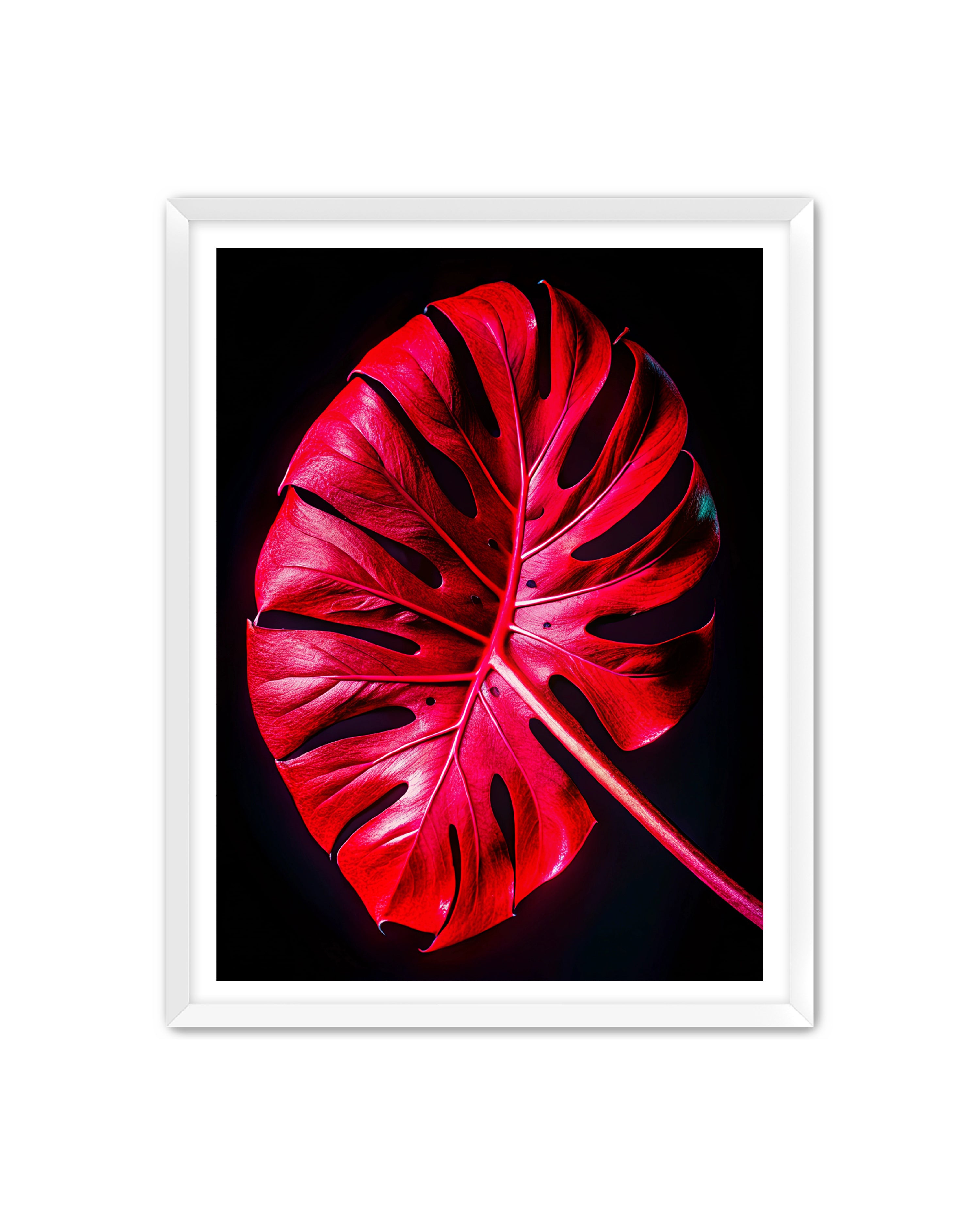 Abstract Prints 'Kinetic Plant' Apricus Art Collection