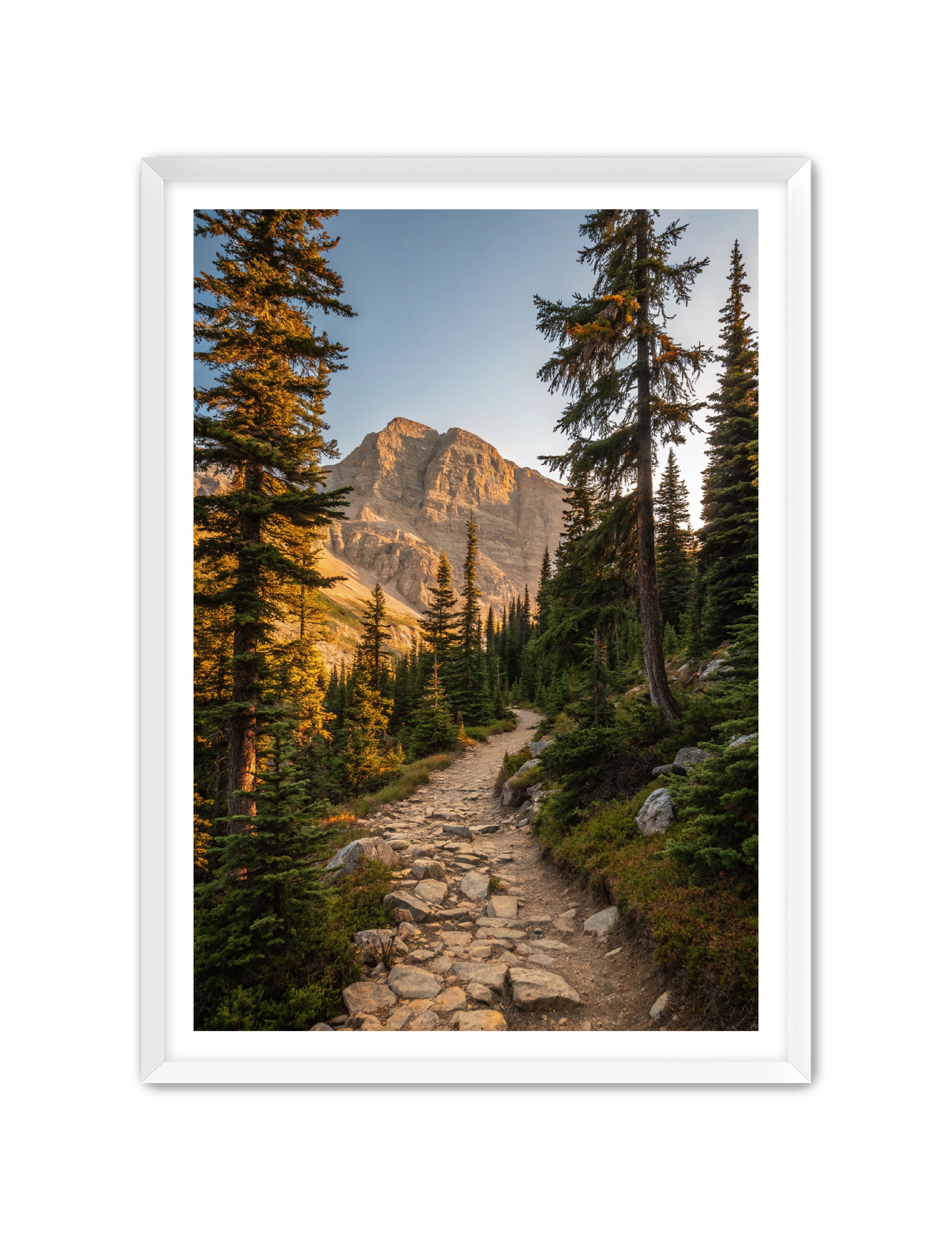 Apricus Prints 'Rocky Mountain Way' Apricus Art Collection