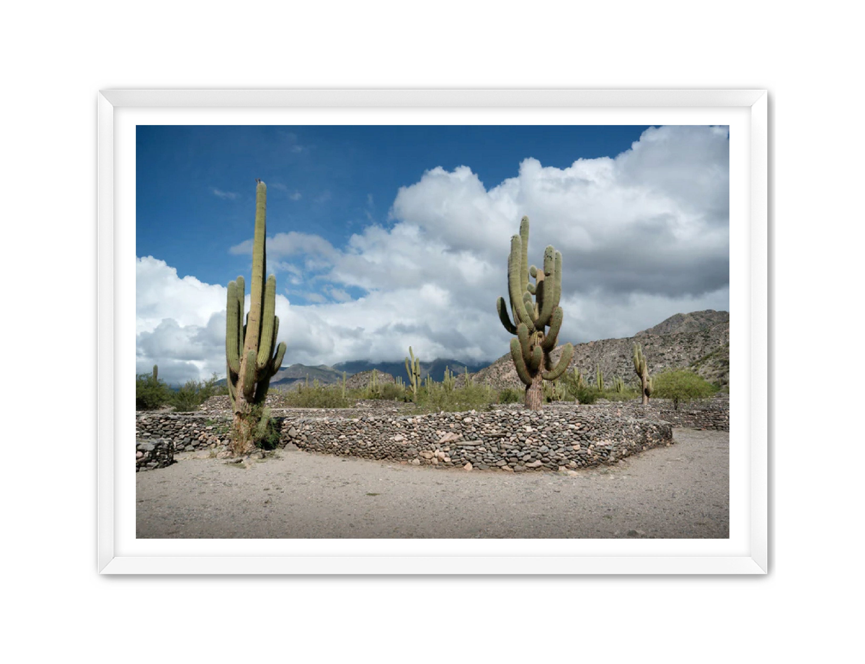 Landscape Photography Prints 'Cactus on the way' Aline Karagozlu