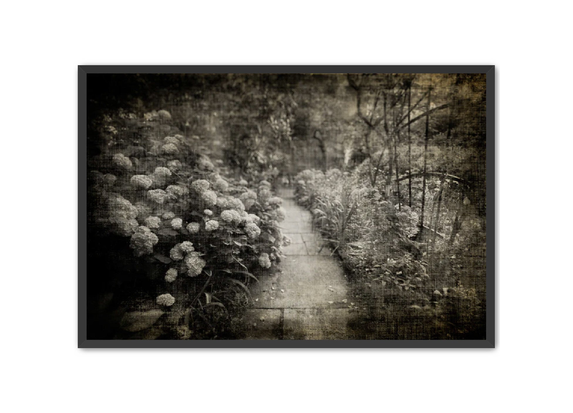 PhotoArt Prints 'PARK PATH 2' Danielle Neumann Kelly