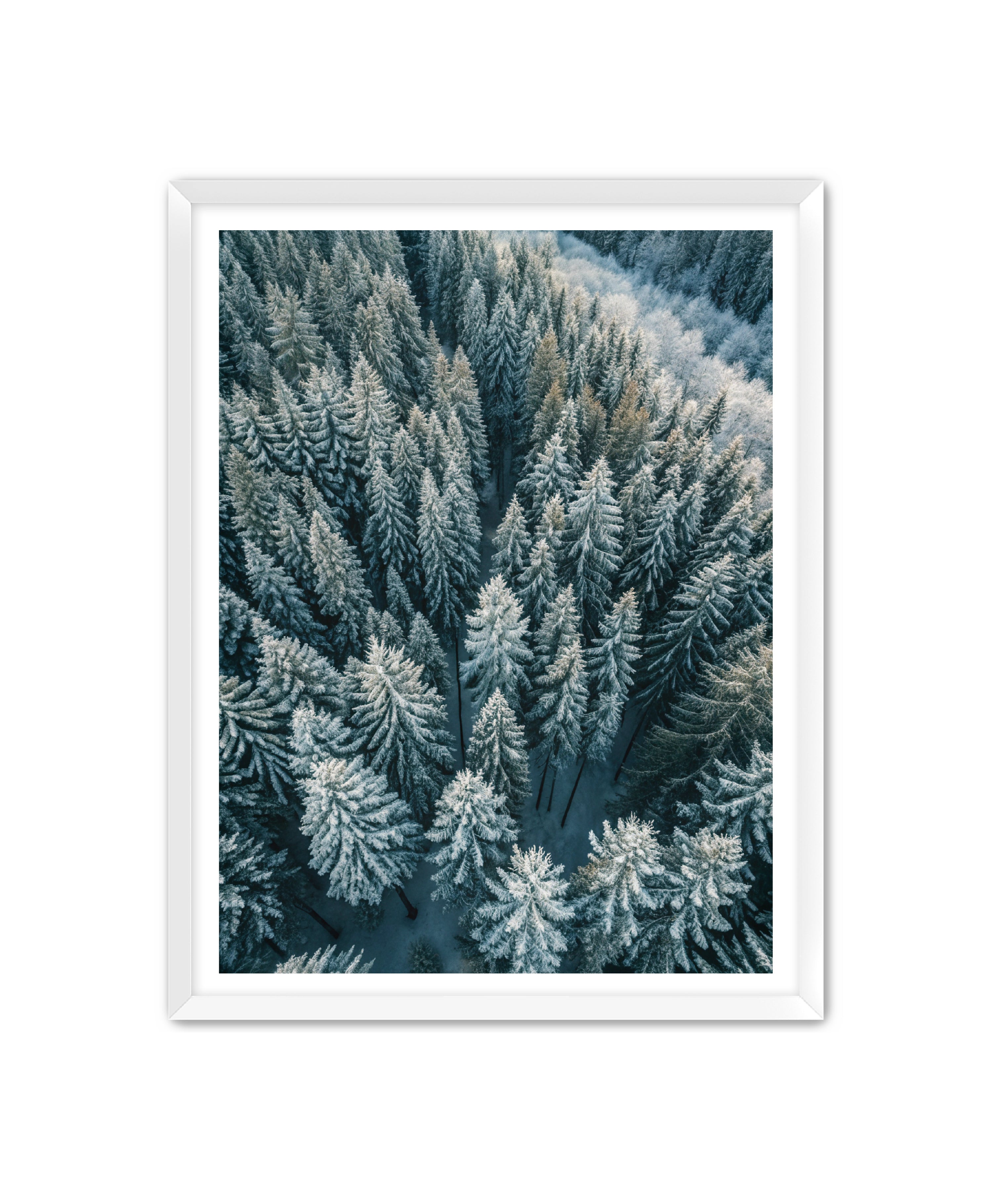 Apricus Prints Nature 'Winter Veins' Apricus Art Collection