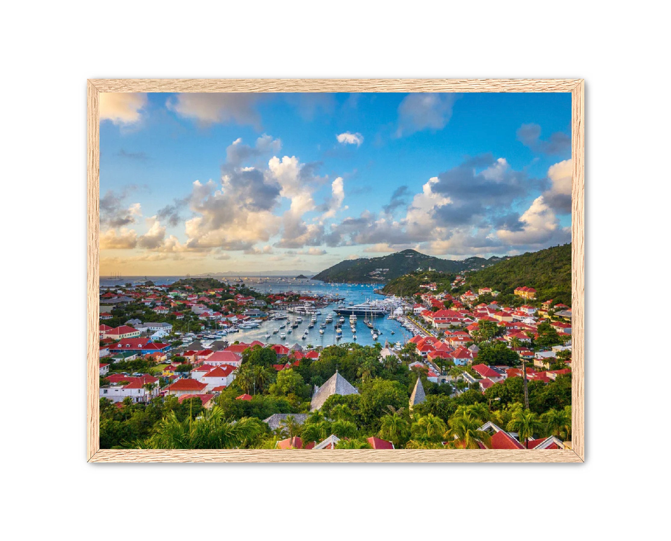 Apricus Prints 'GUSTAVIA' Apricus Art Collection