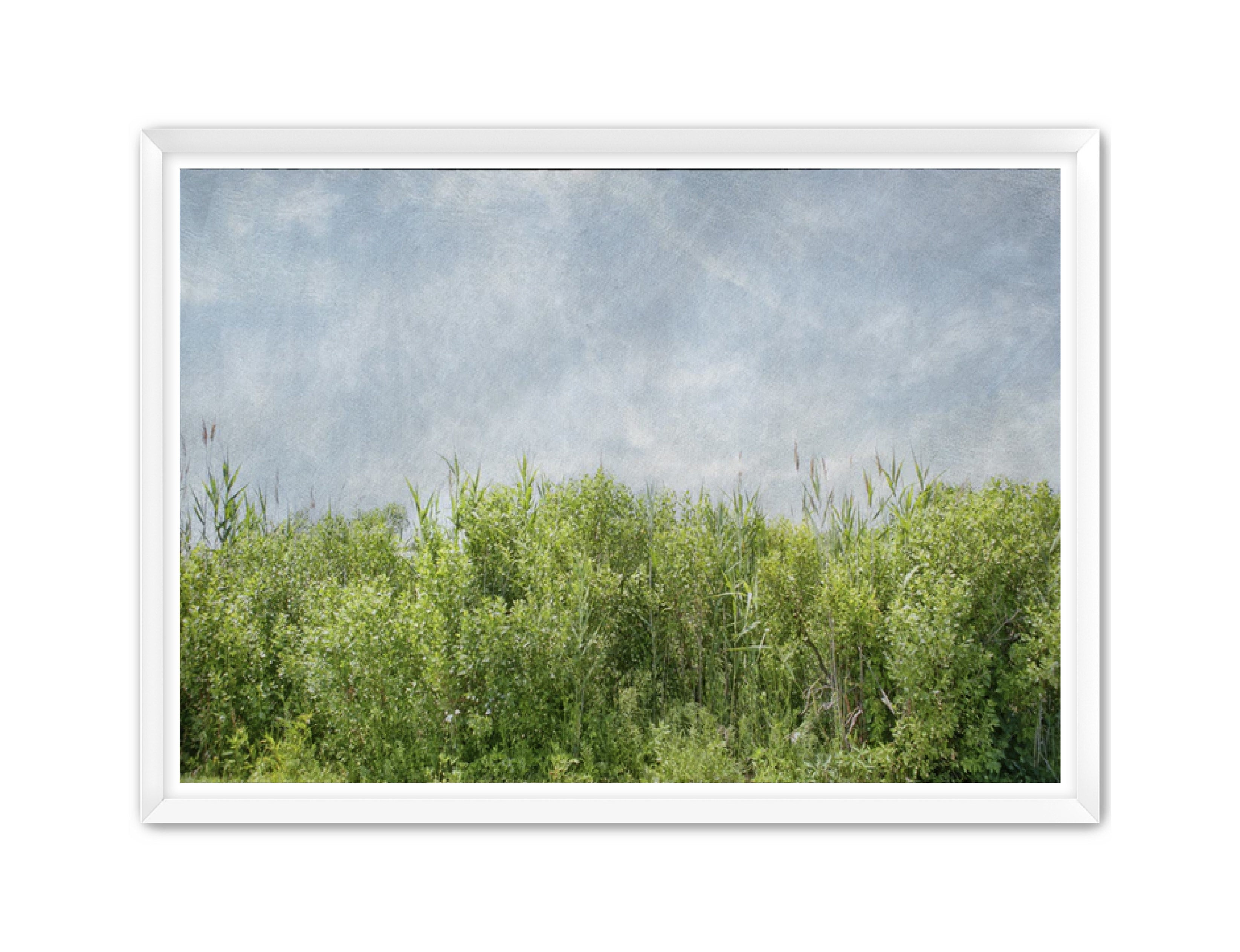 PhotoArt Prints 'BEACH BRIAR' Danielle Neumann Kelly