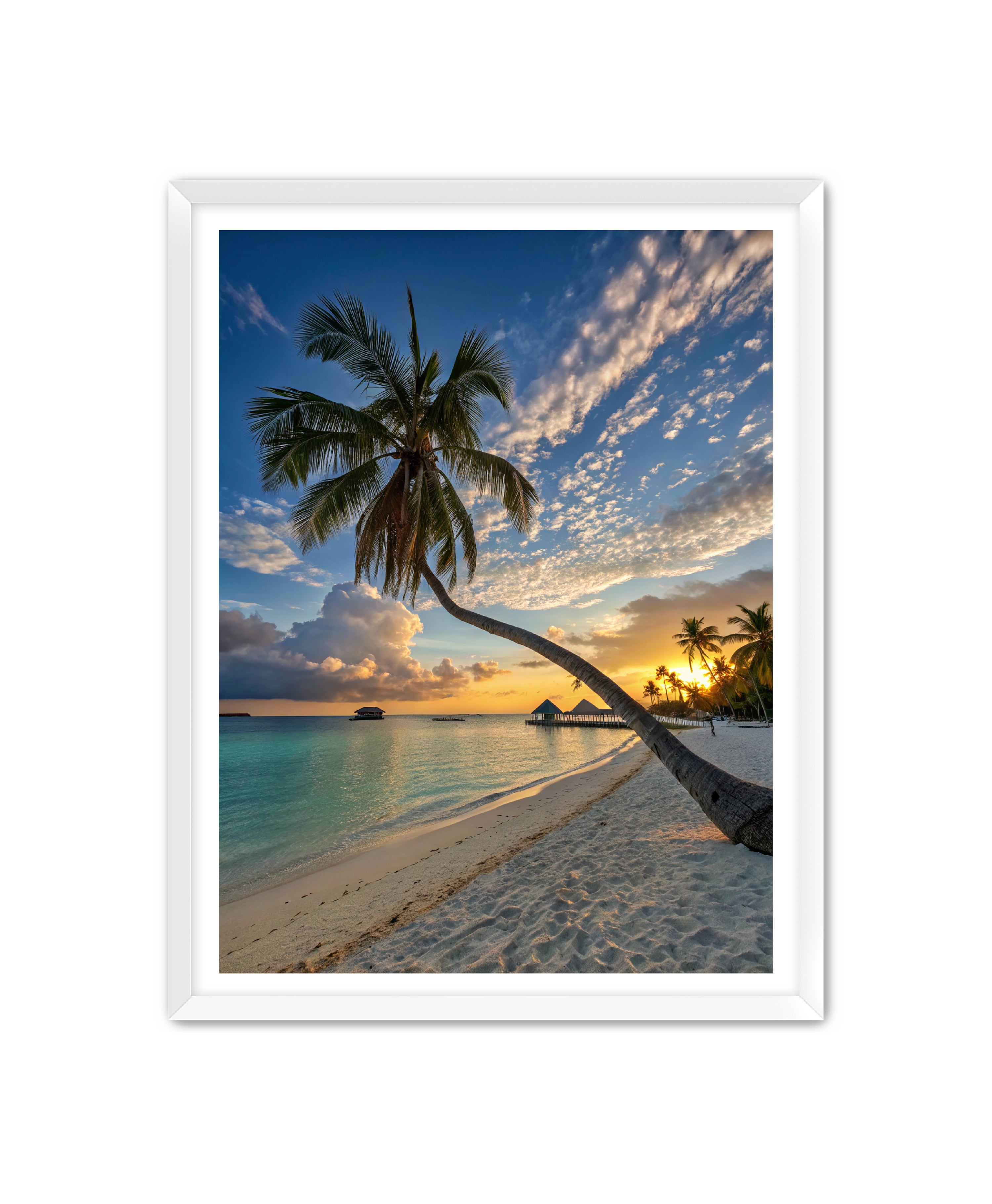 Apricus Prints Beaches 'Hang Low' Apricus Art Collection