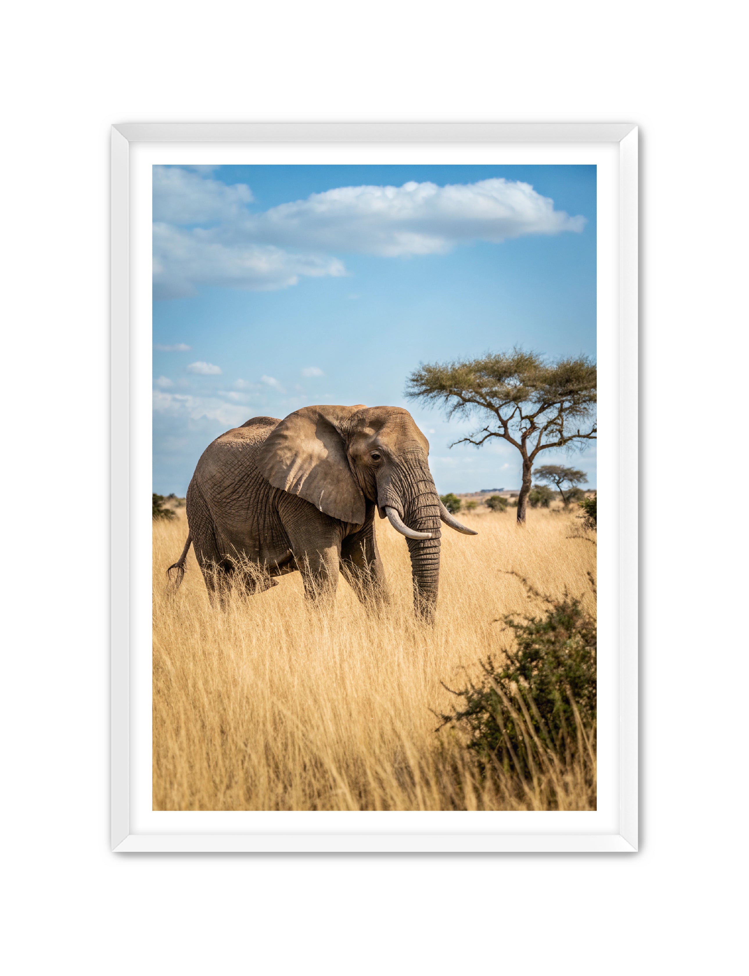 Apricus Prints 'Ellie, The Gentle Giant' Apricus Art Collection