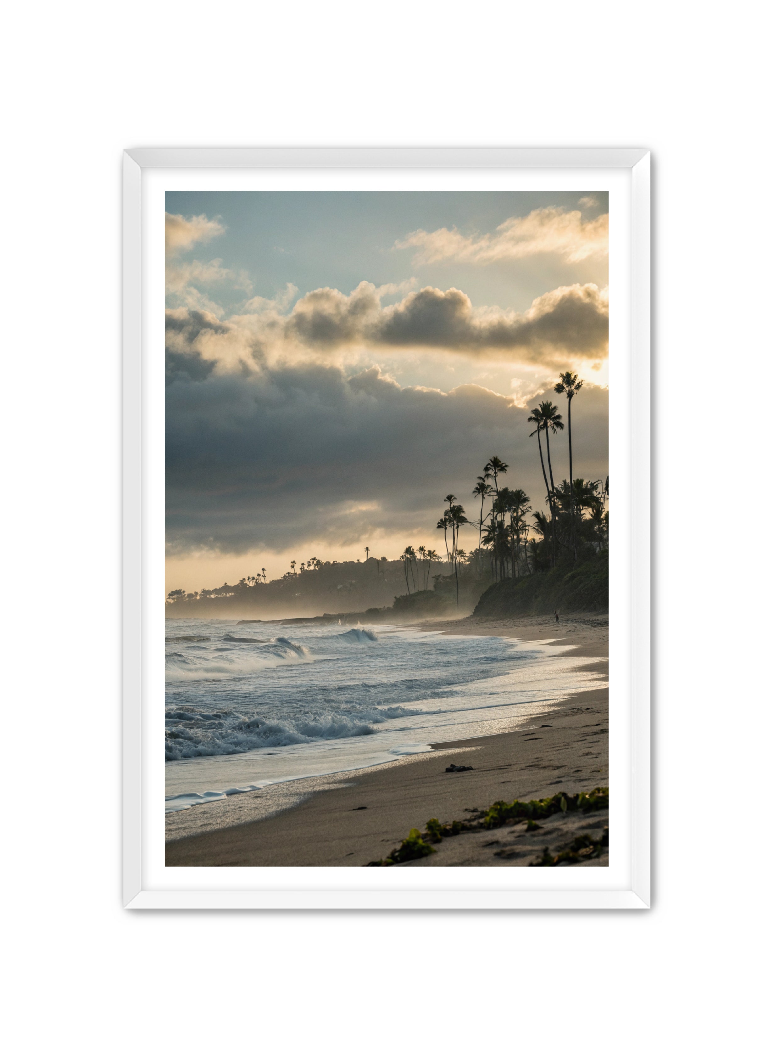 Apricus Prints Beaches 'Coastal Echoes' Apricus Art Collection