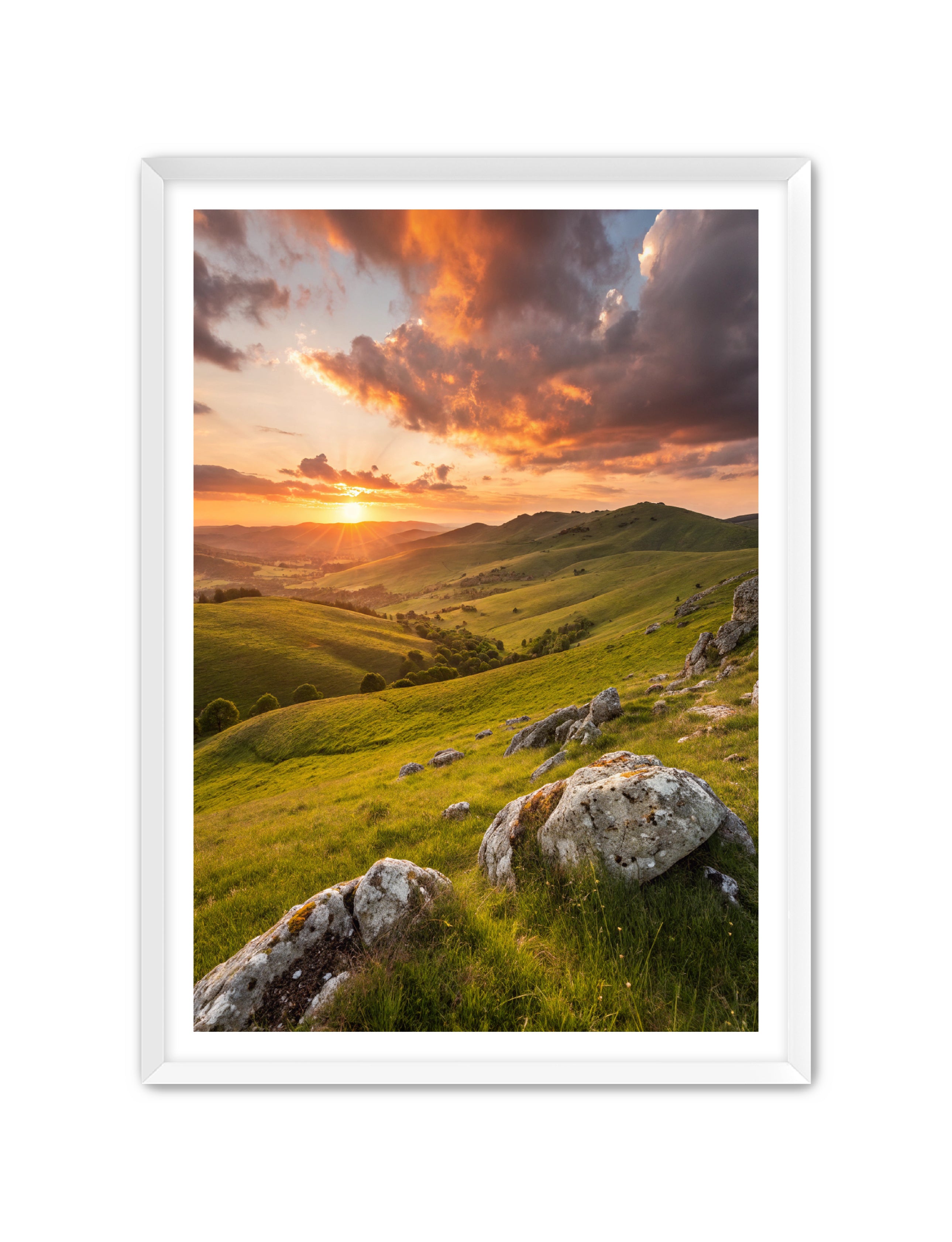 Apricus Prints 'Highland Glow' Apricus Art Collection