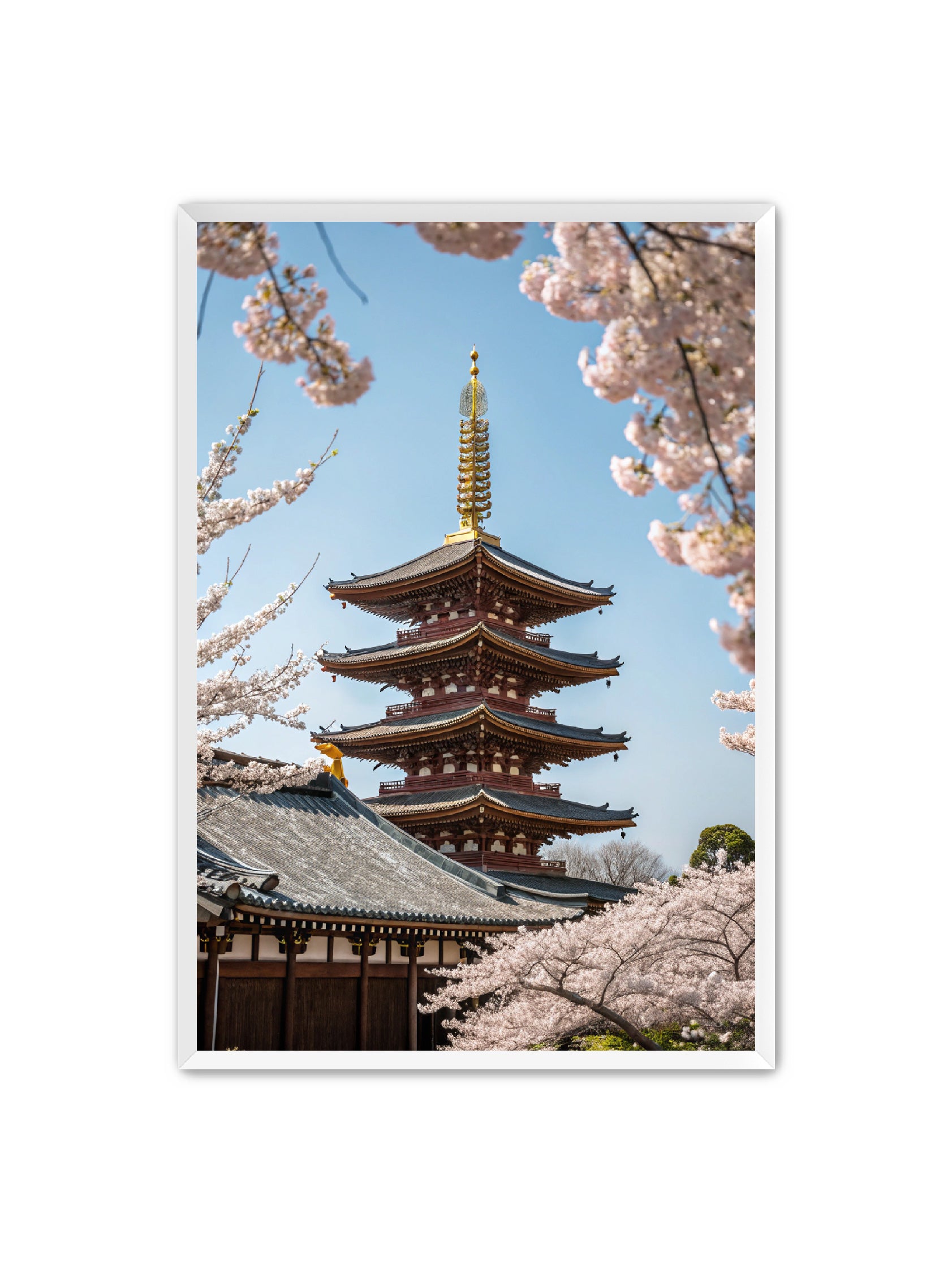 Apricus Prints 'Blossom Fortress' Apricus Art Collection