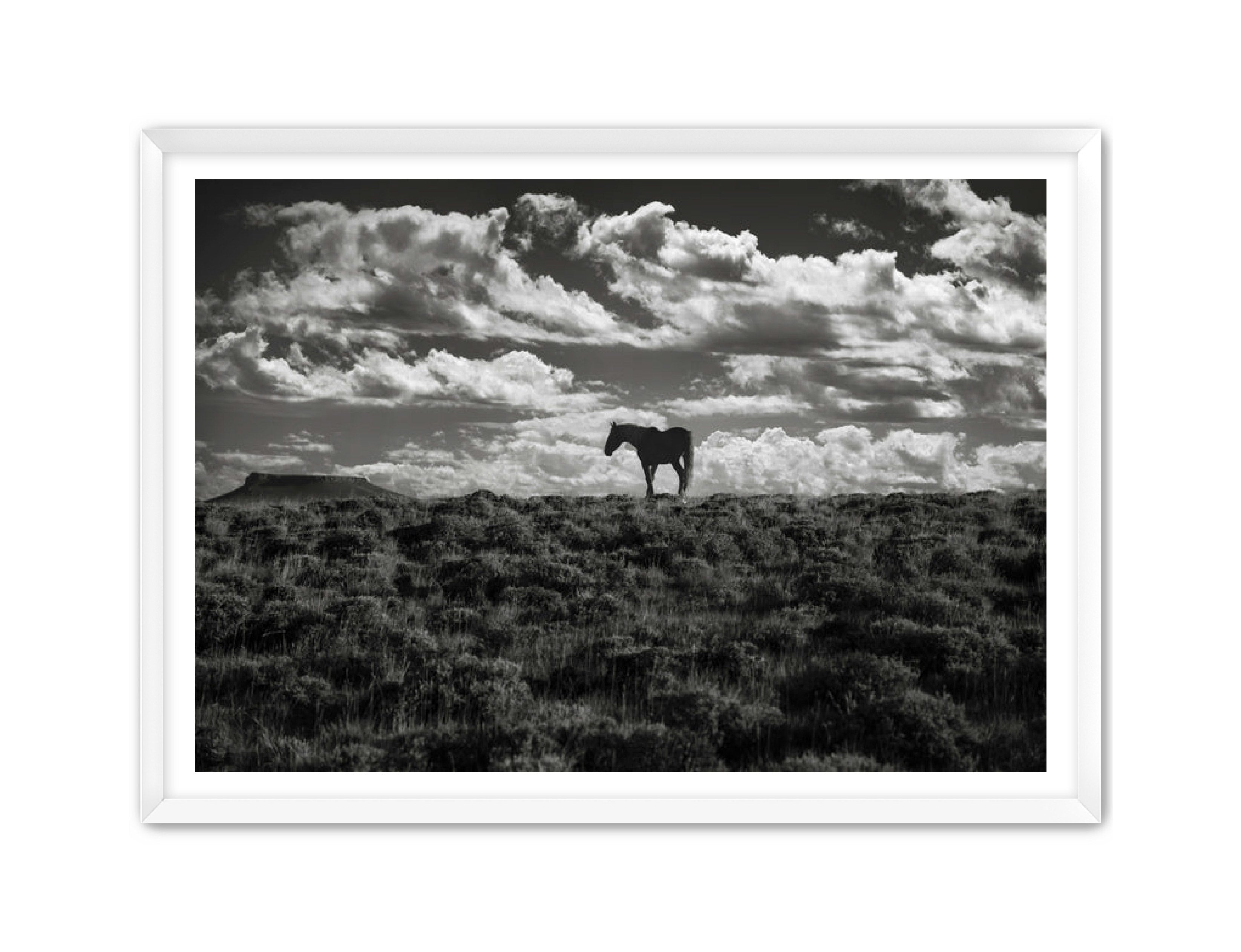 Photography Prints 'Open Range' Reed Decker