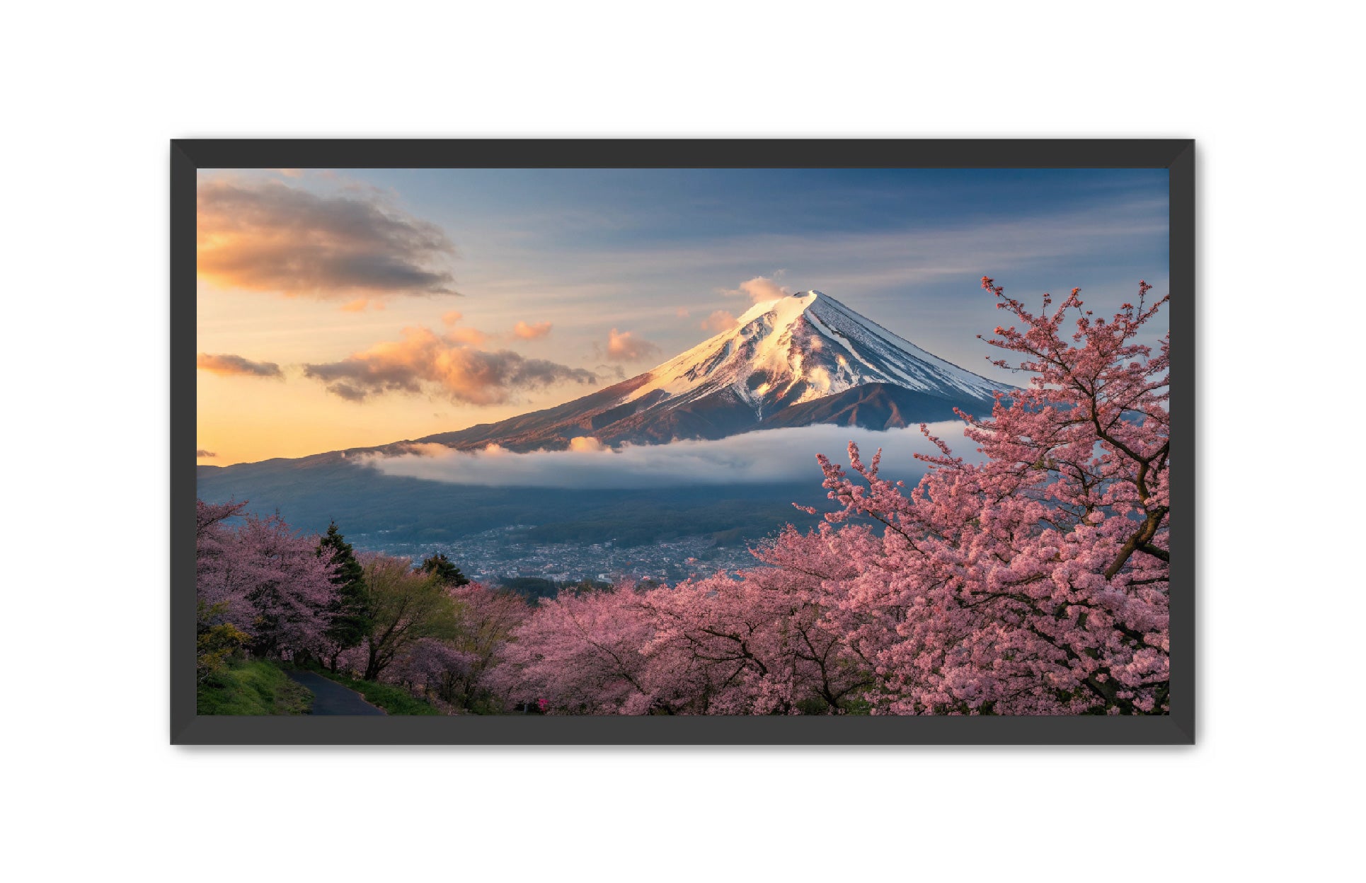 Apricus Prints 'Fuji’s Reflection' Apricus Art Collection