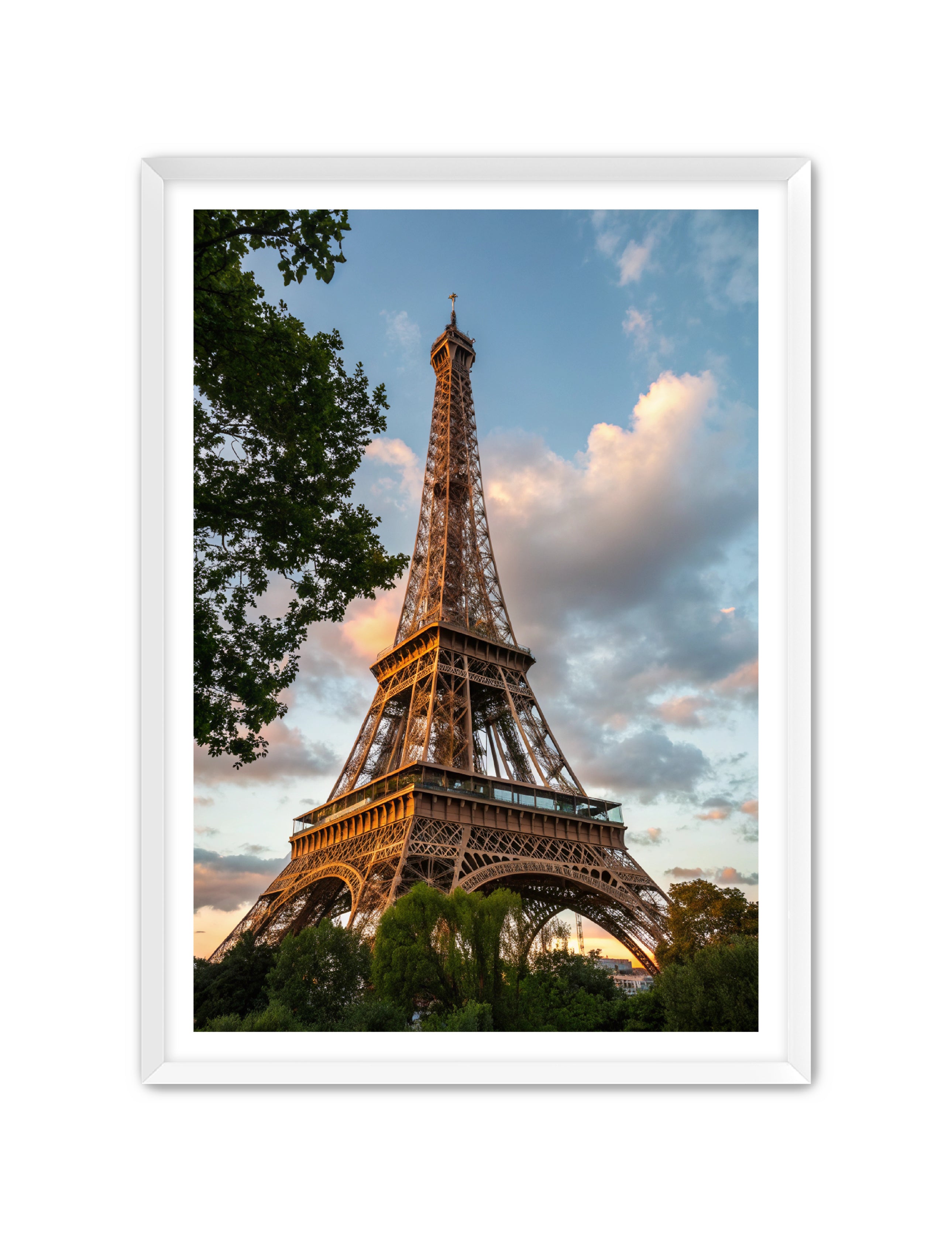 Apricus Prints 'Paris Bloom' Apricus Art Collection