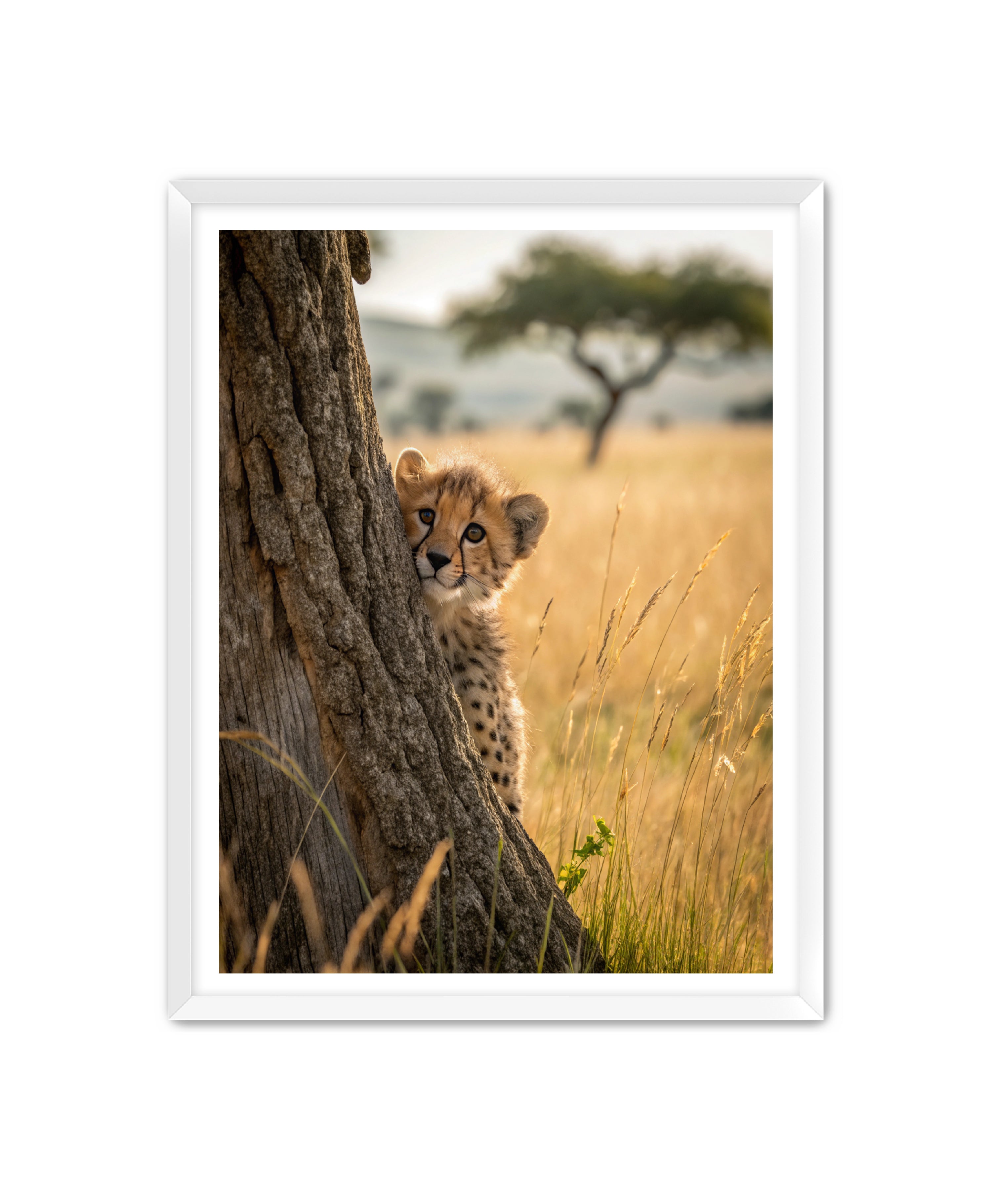 Apricus Prints 'Peekaboo' Apricus Art Collection