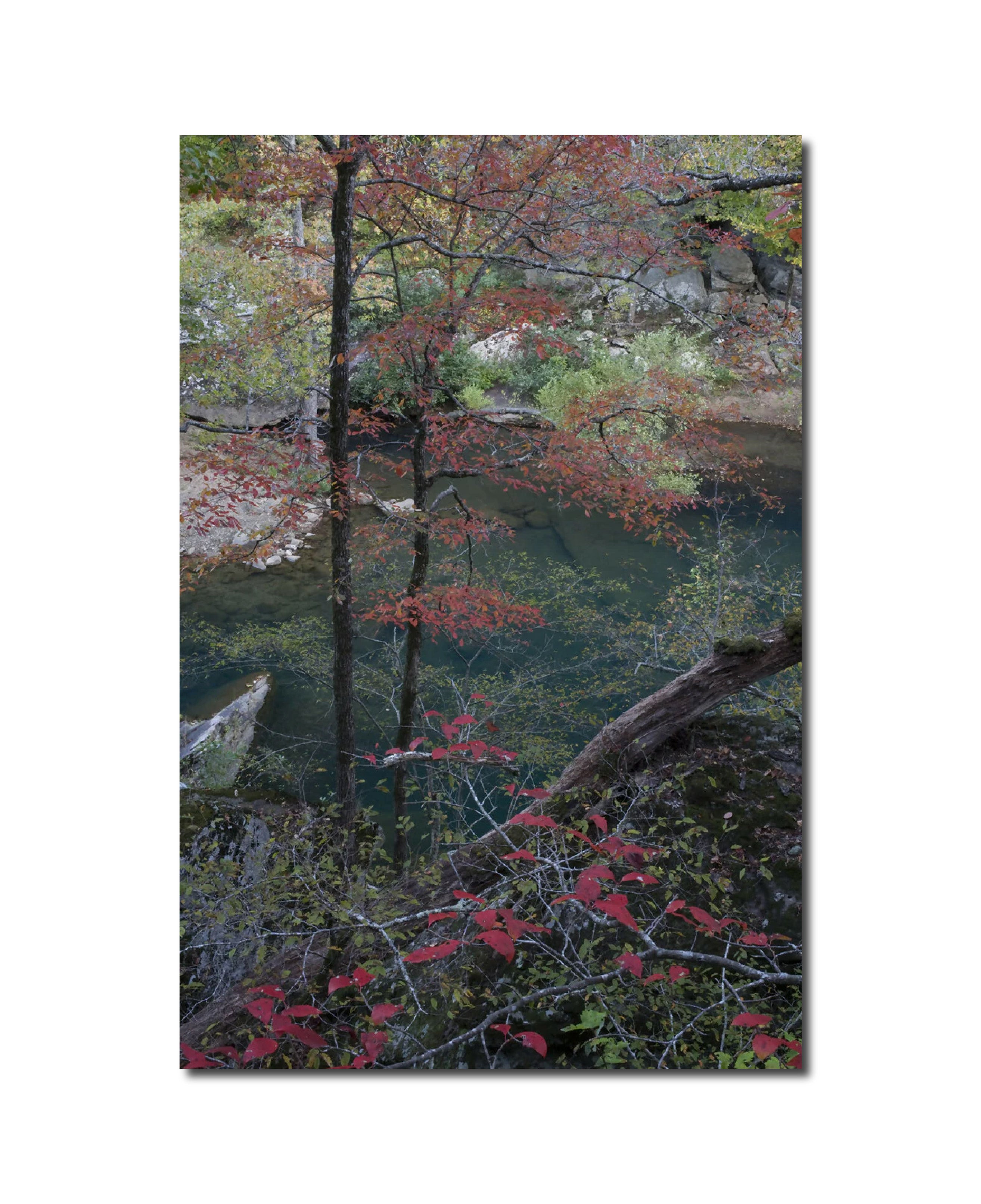 Landscape Photography Hurricane Creek Wilderness, Ozark Highlands Trail, Ozark National Forest, Arkansas Peter Essick