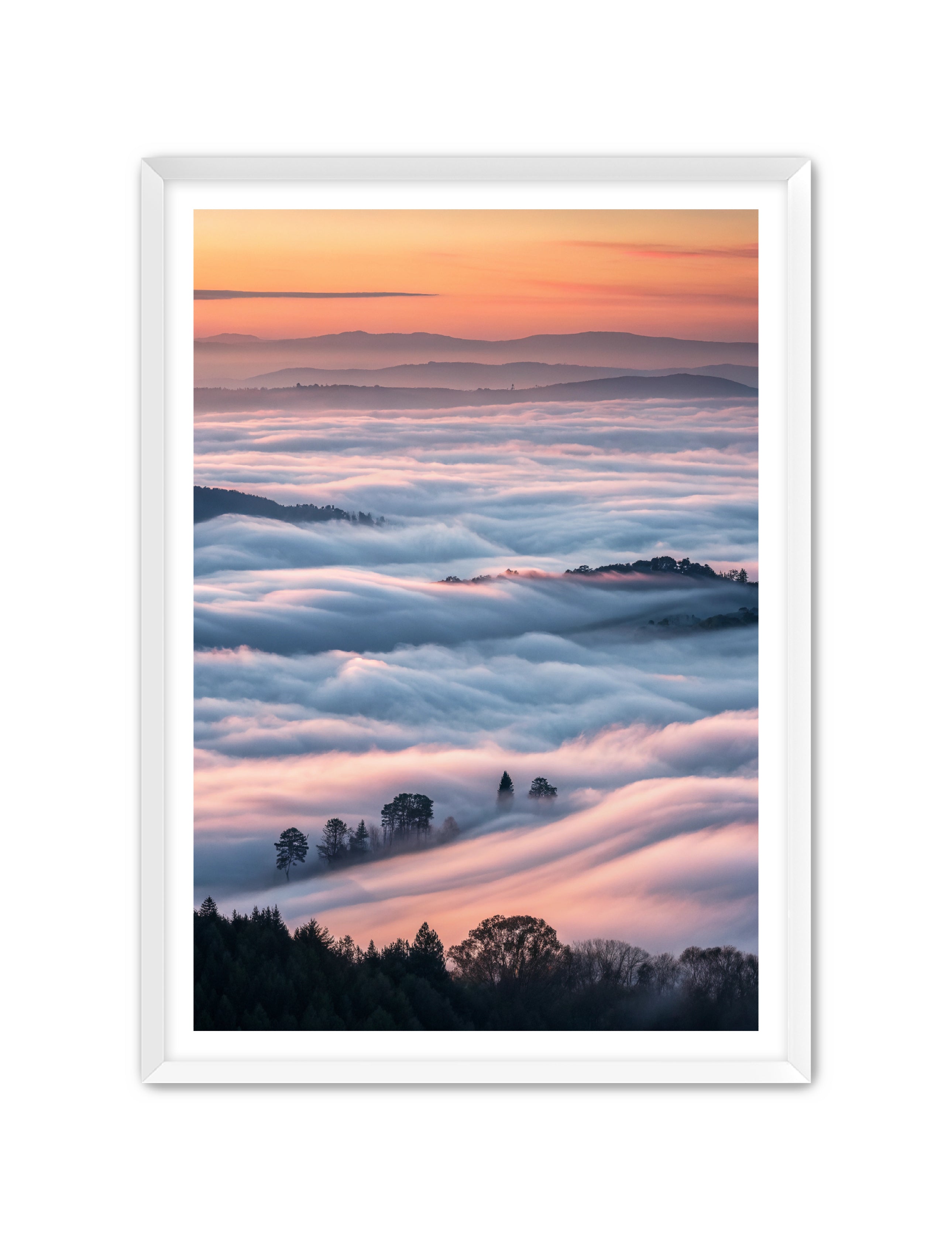 Apricus Prints 'Clouded Canopy' Apricus Art Collection