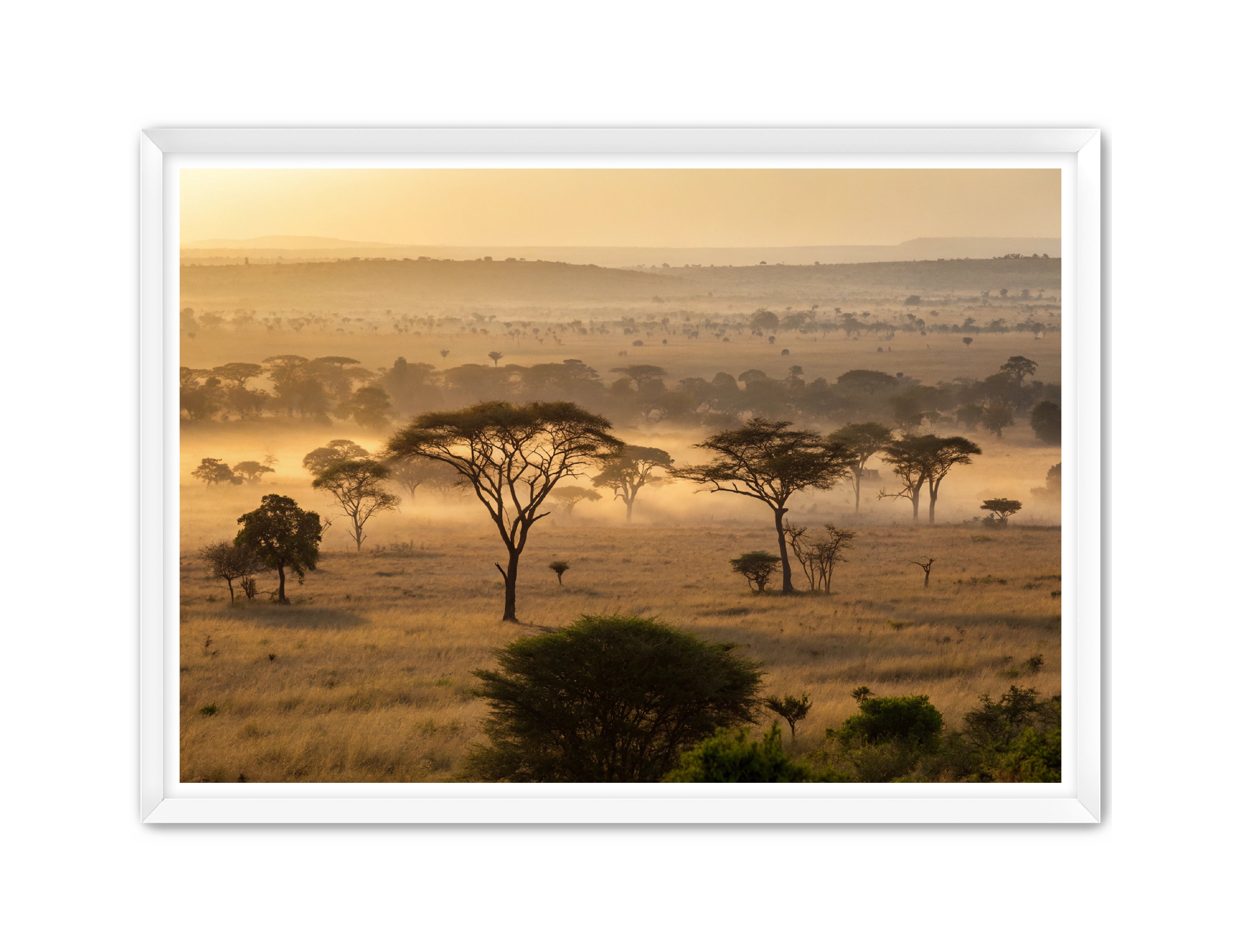 Apricus Prints 'Sunrise on the Serengeti' Apricus Art Collection