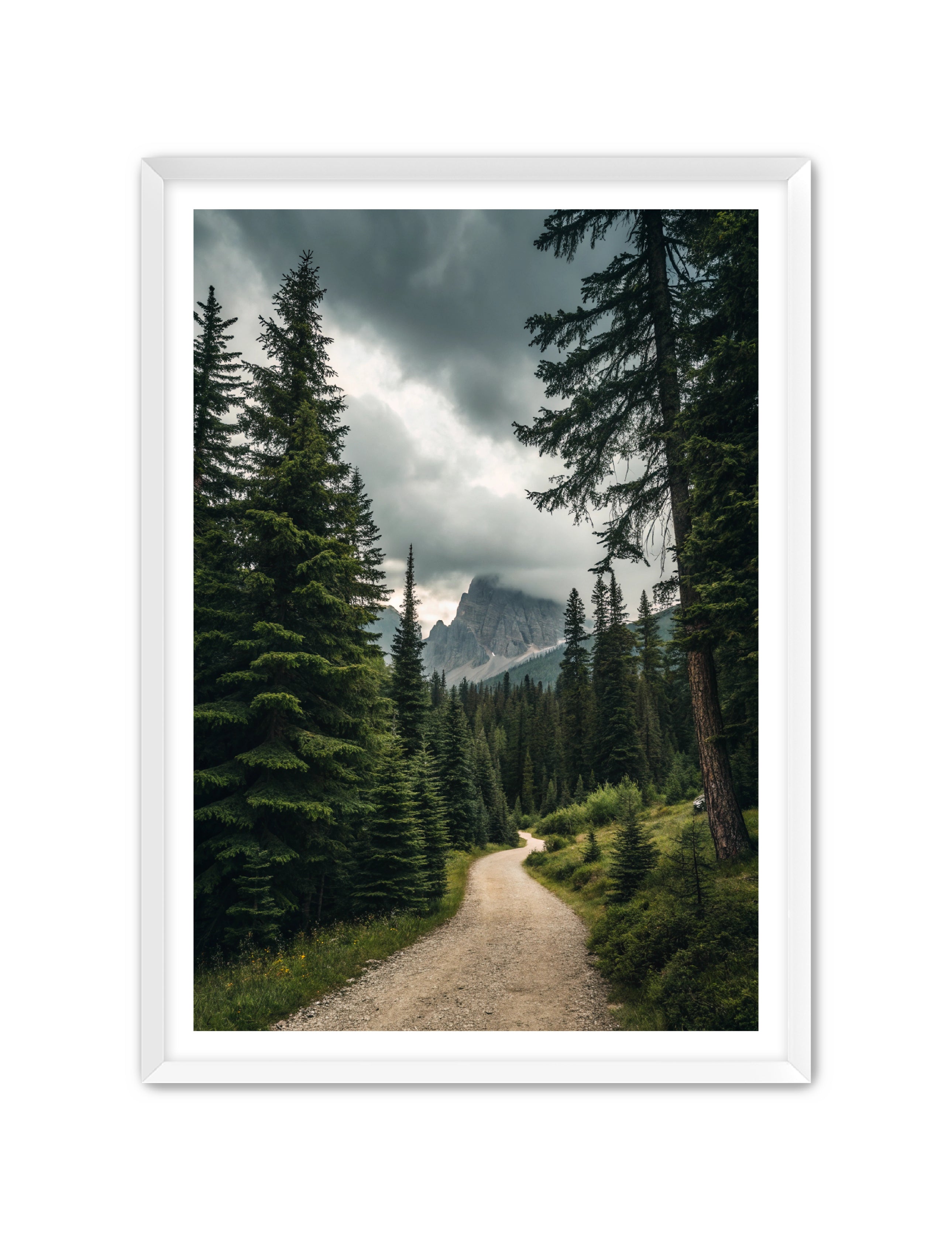 Apricus Prints 'Path to the Peaks' Apricus Art Collection