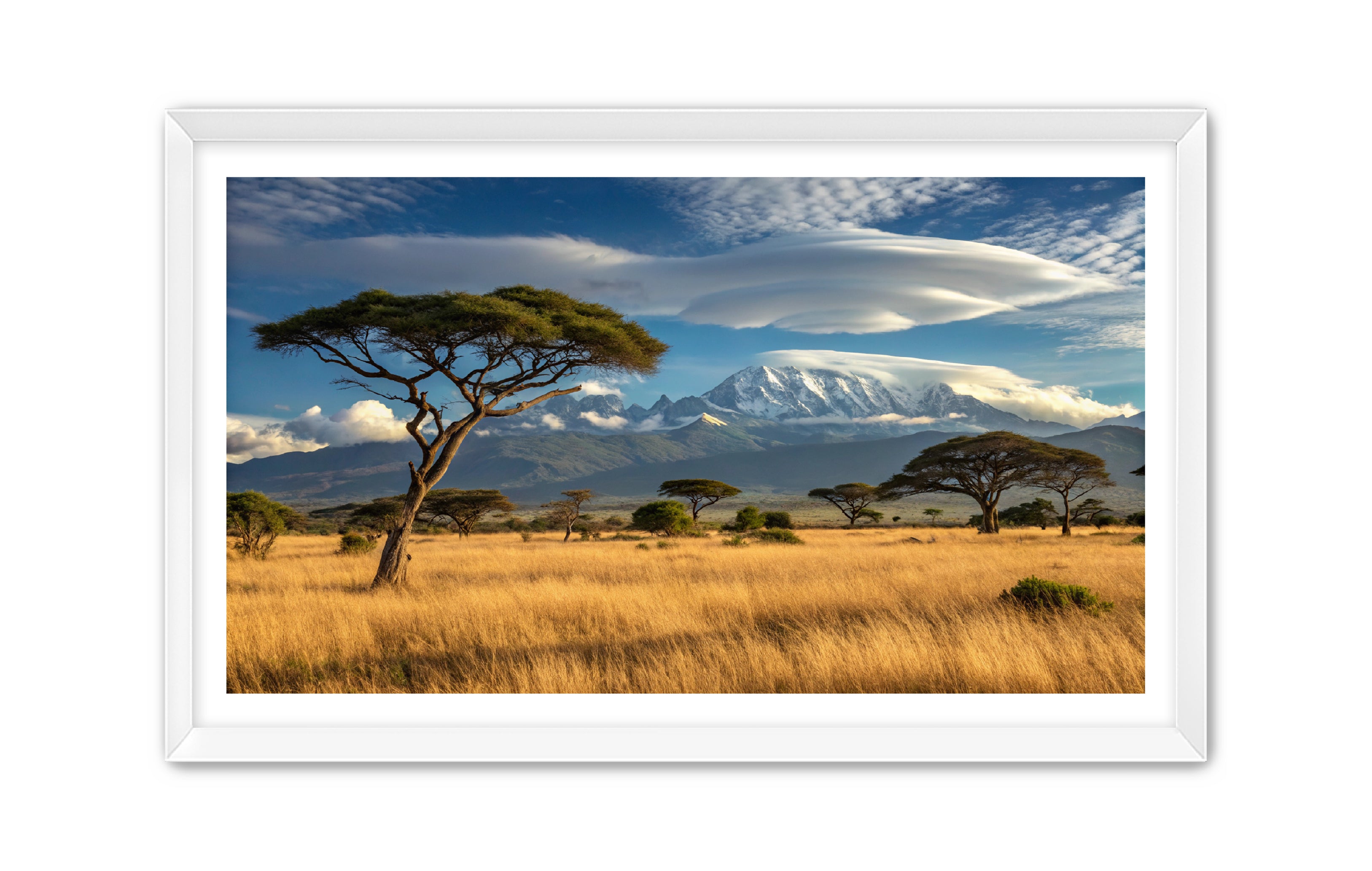 Apricus Prints 'Safari Layers' Apricus Art Collection