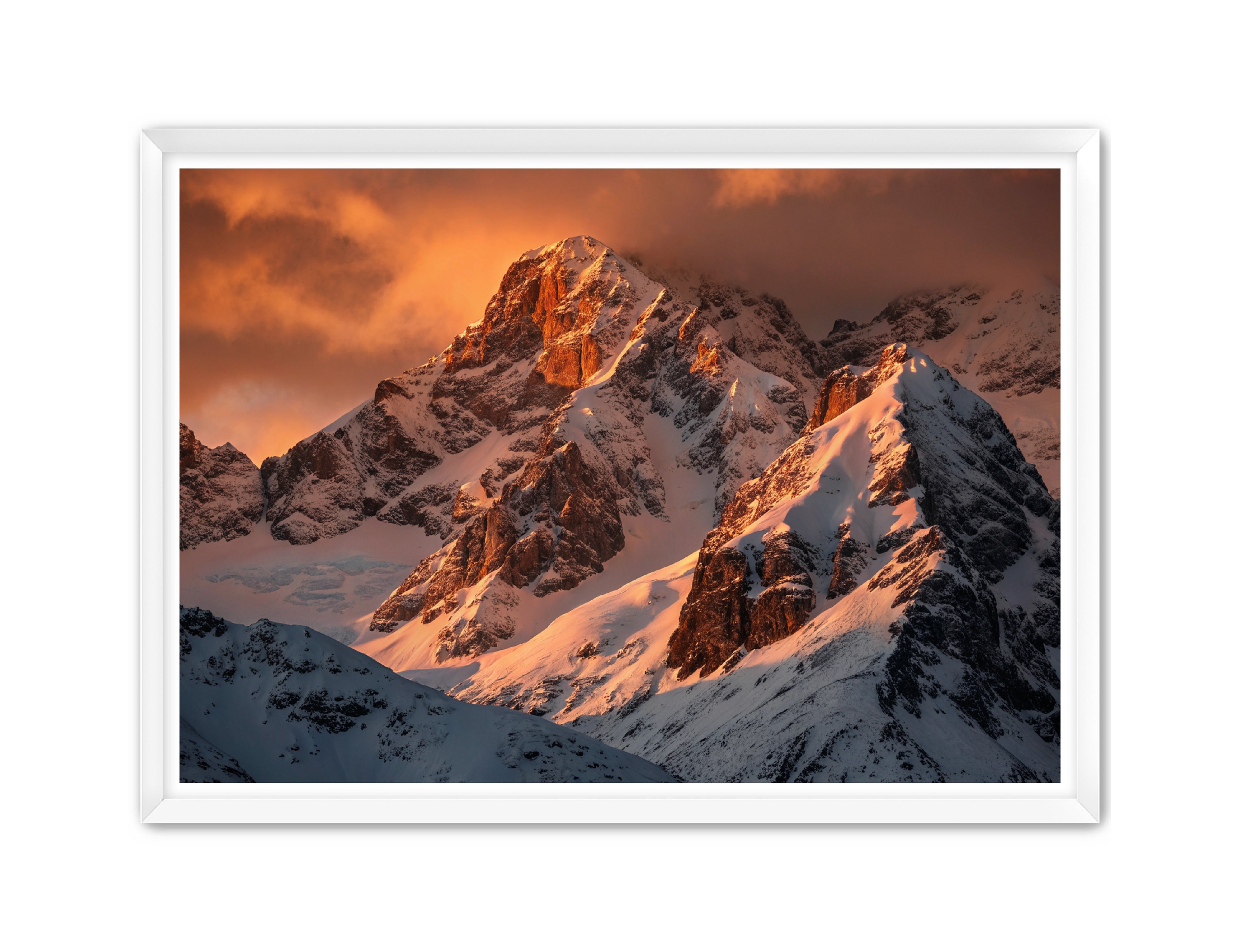 Apricus Prints 'Crimson Crown of the Himalayas' Apricus Art Collection