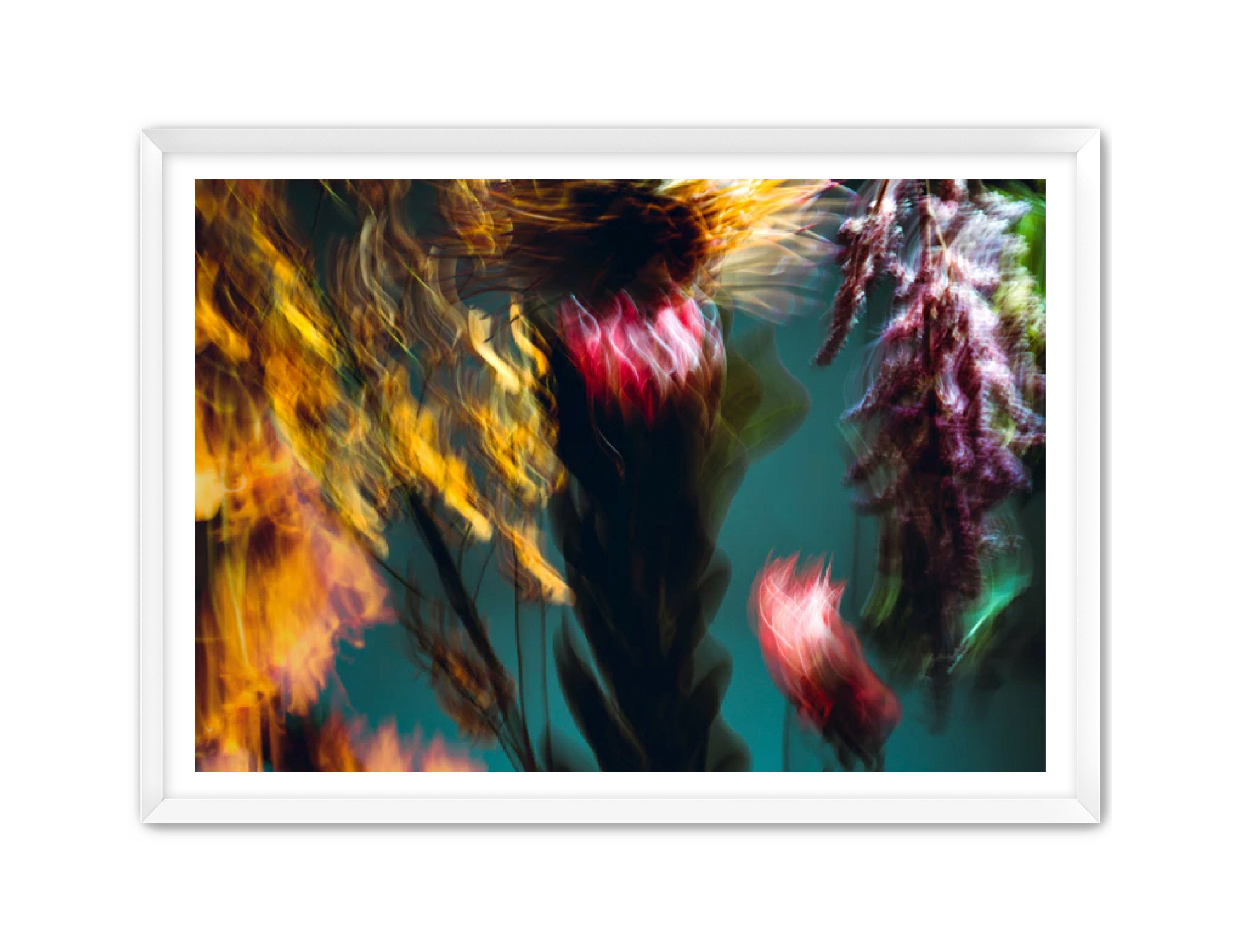 Photography Prints 'Fleur Bleur' Reed Decker