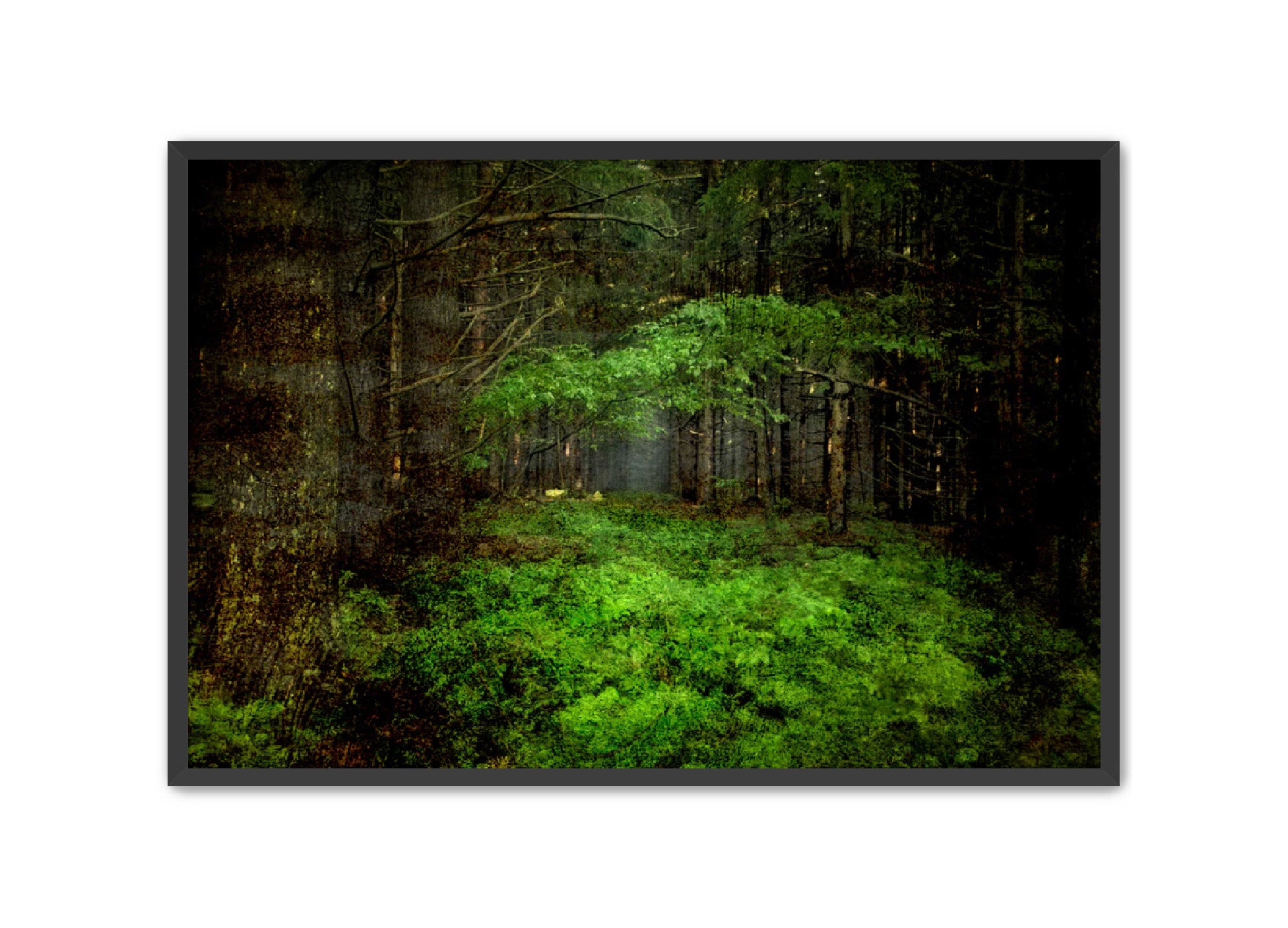 PhotoArt Prints 'TEXTURED TREES 3' Danielle Neumann Kelly