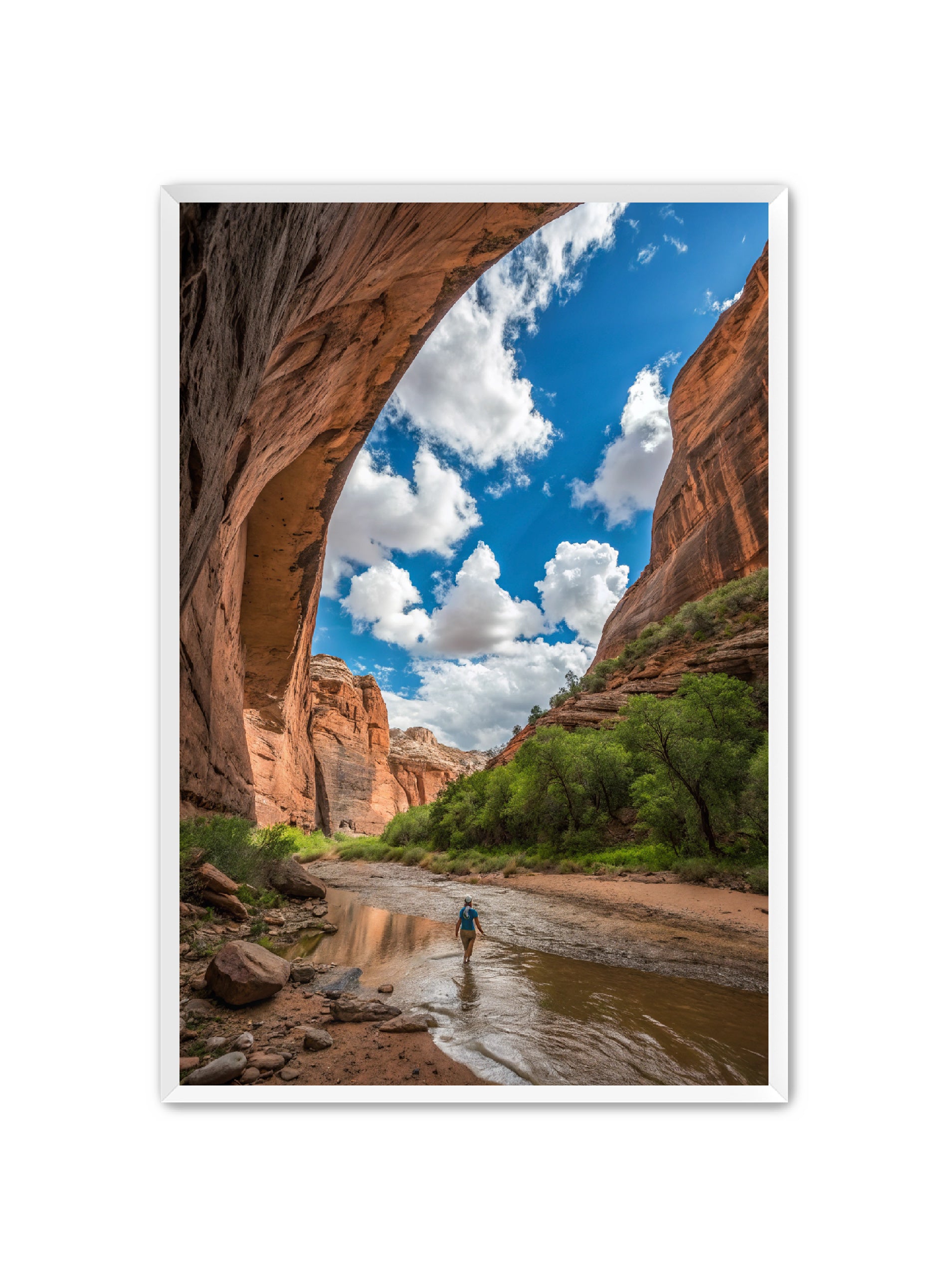 Apricus Prints 'Arches Creek' Apricus Art Collection