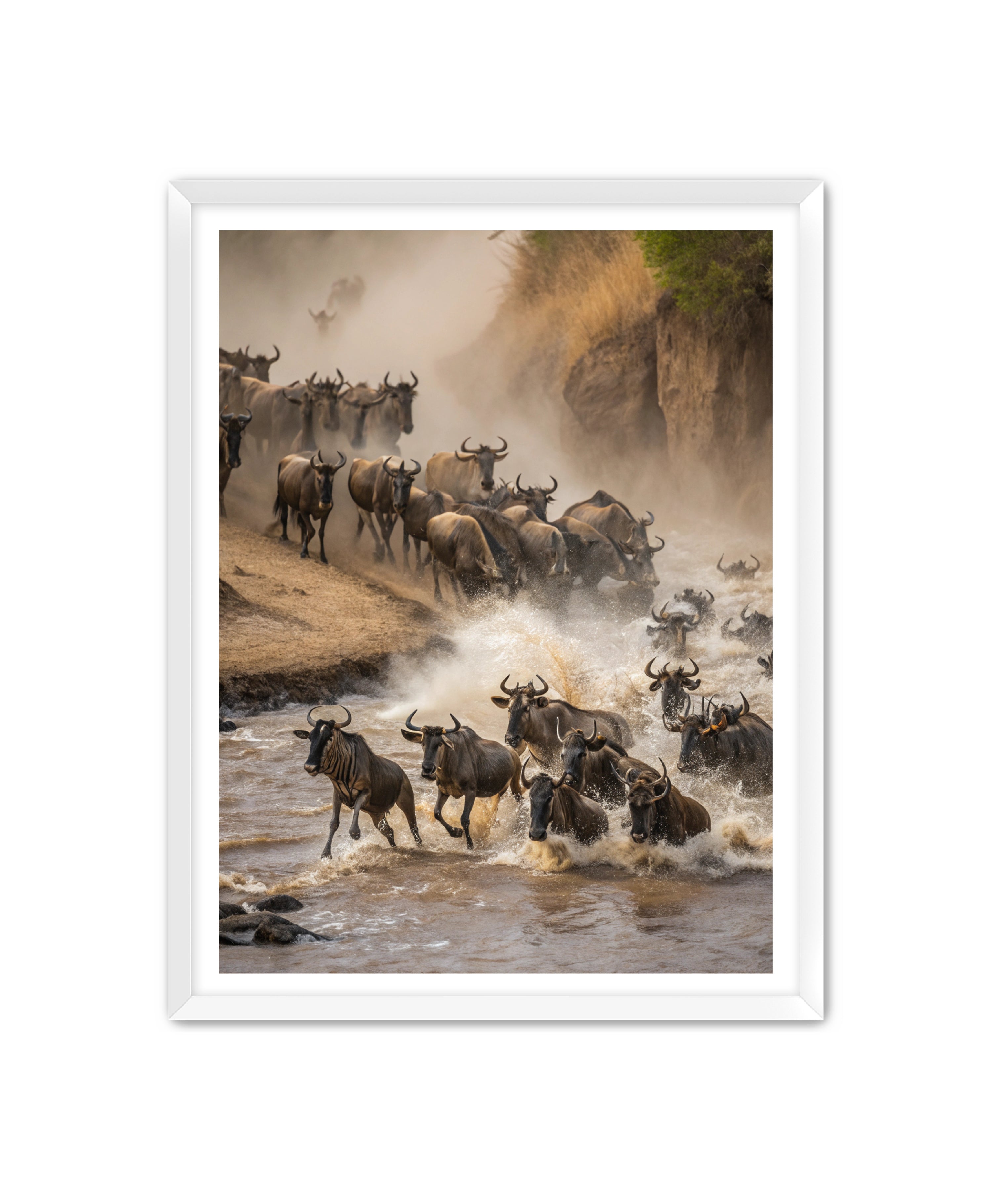 Apricus Prints 'Stampede Crossing' Apricus Art Collection