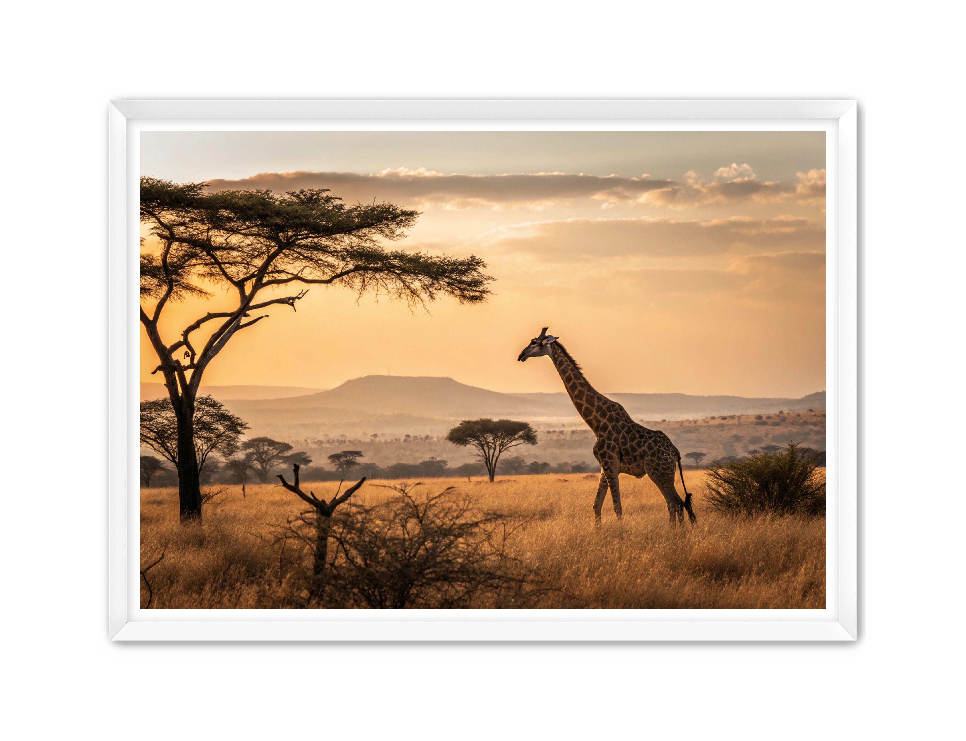 Apricus Prints 'Homeward Bound' Apricus Art Collection