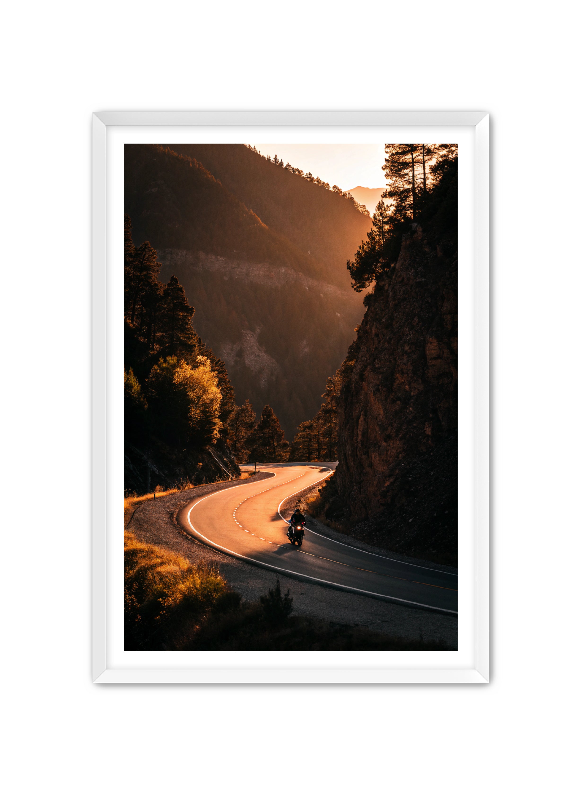 Apricus Prints 'Riding the Ridge' Apricus Art Collection