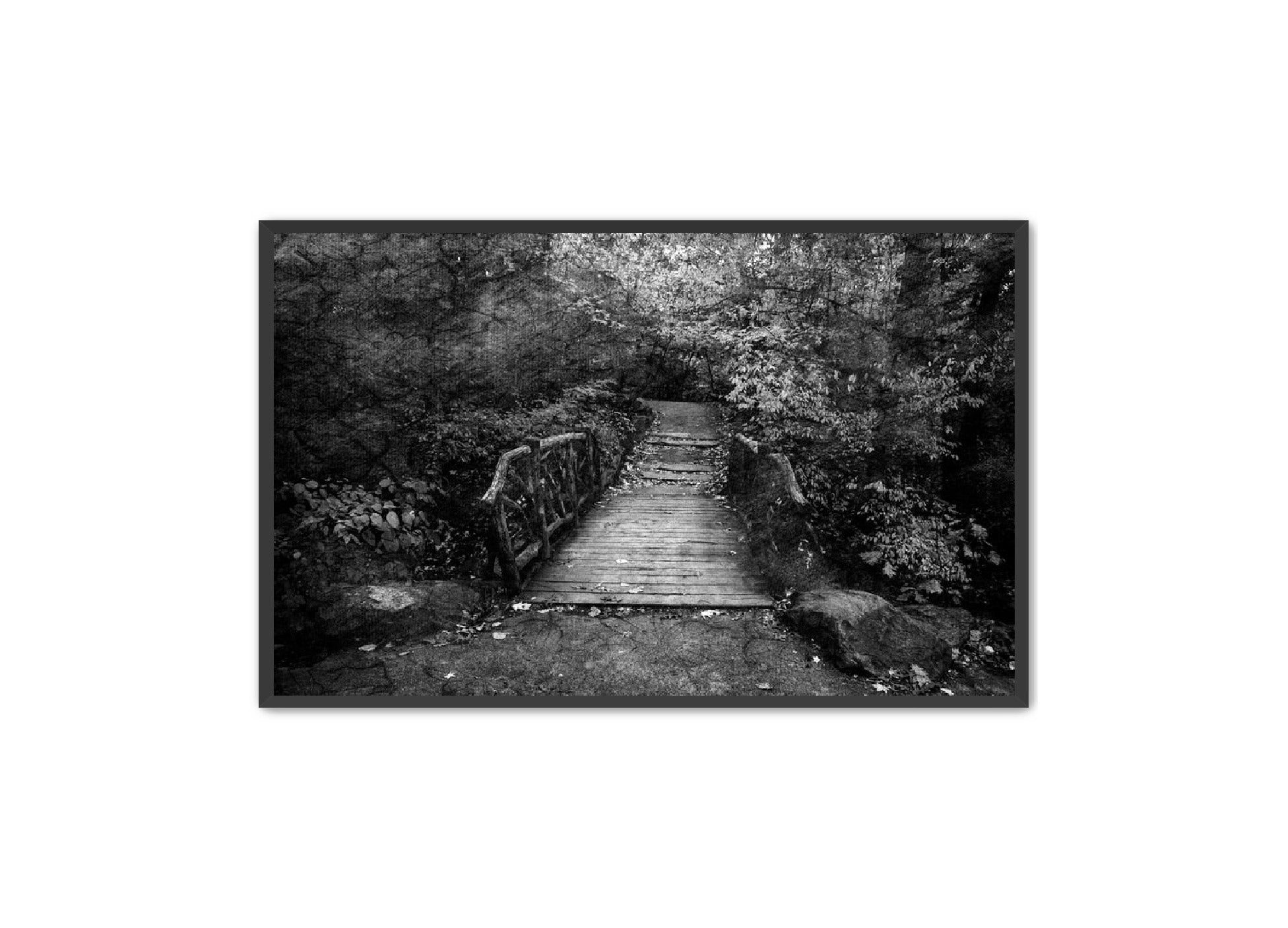 PhotoArt Prints 'PARK PATH' Danielle Neumann Kelly