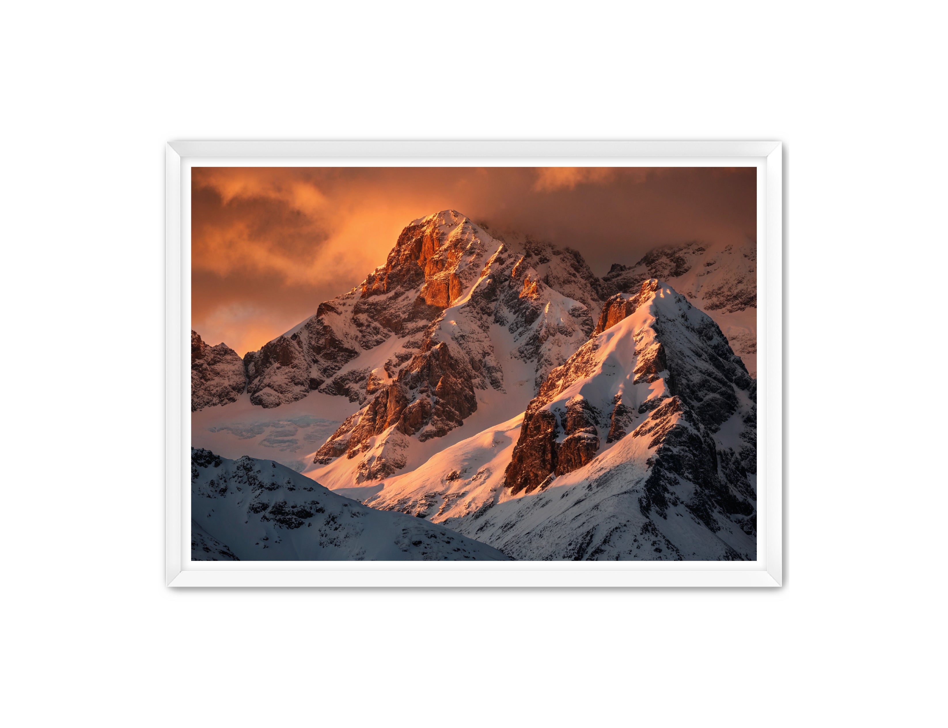 Apricus Prints 'Crimson Crown of the Himalayas' Apricus Art Collection