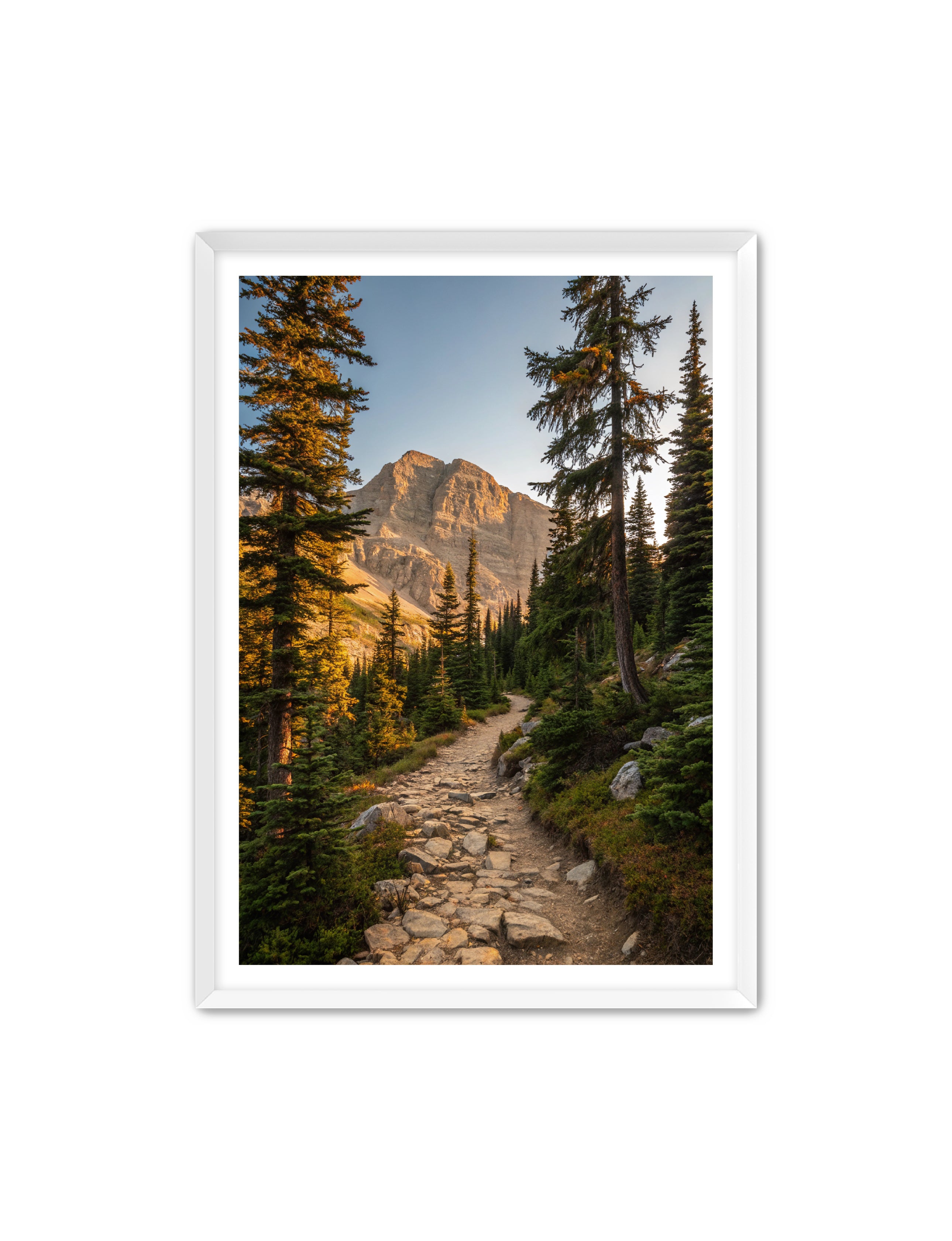 Apricus Prints 'Rocky Mountain Way' Apricus Art Collection