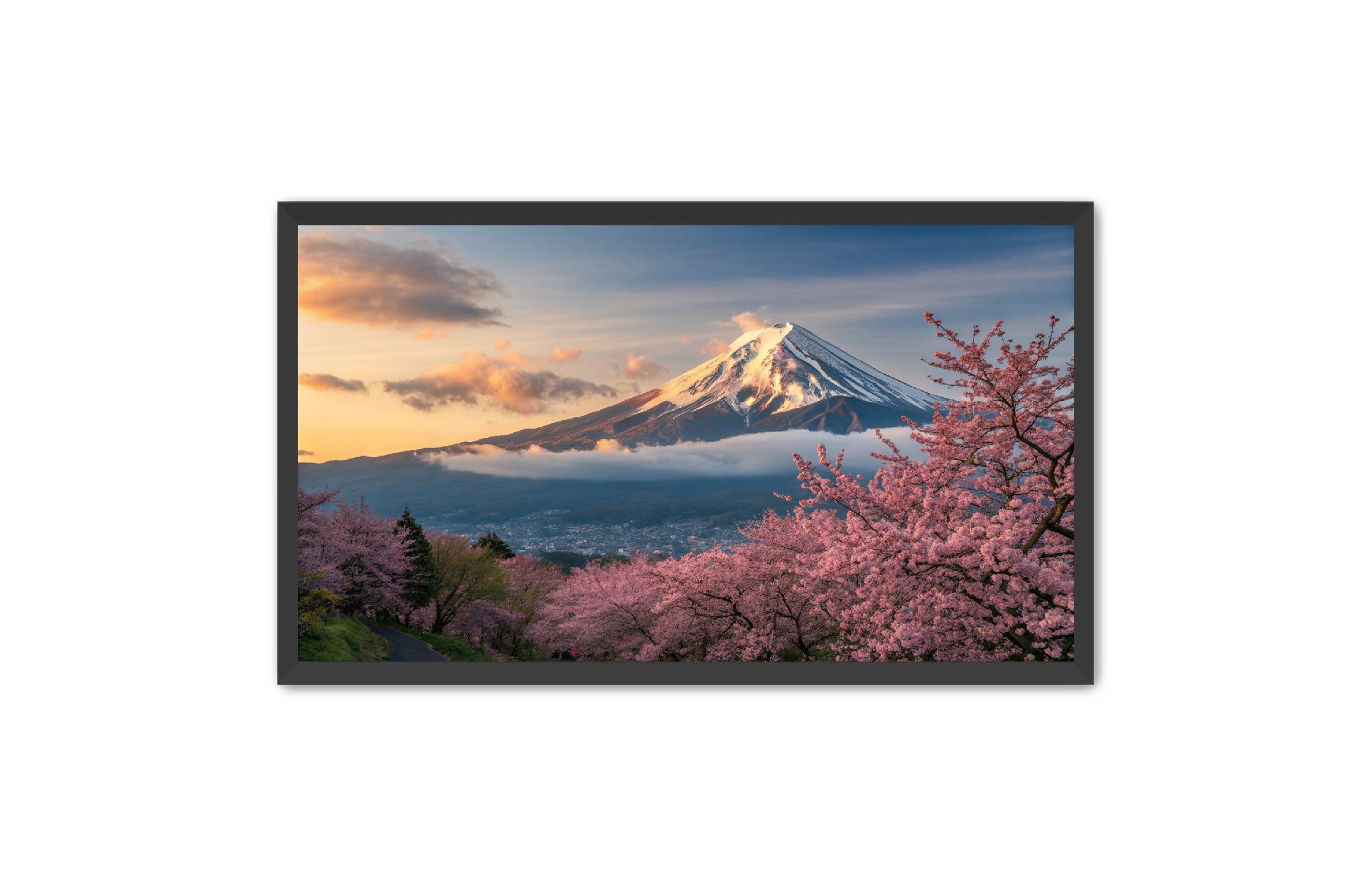 Apricus Prints 'Fuji’s Reflection' Apricus Art Collection