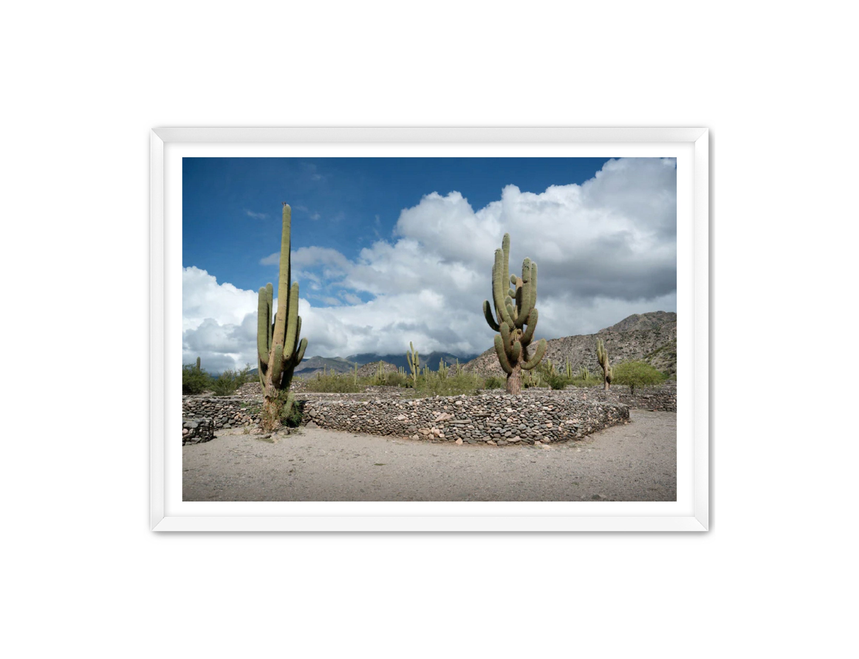 Landscape Photography Prints 'Cactus on the way' Aline Karagozlu