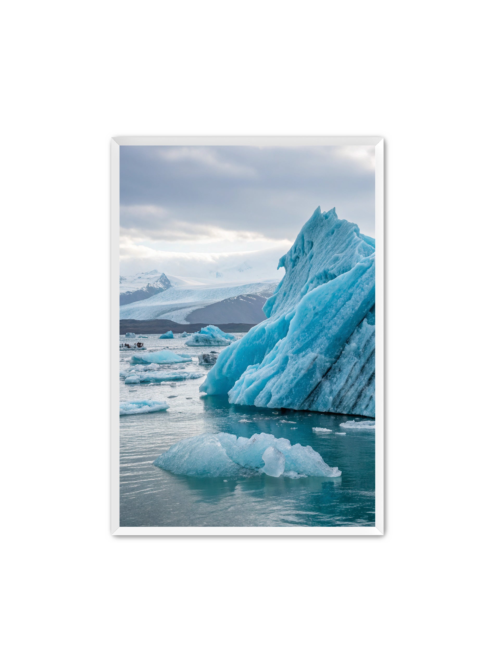 Apricus Prints 'Frozen Serenade' Apricus Art Collection