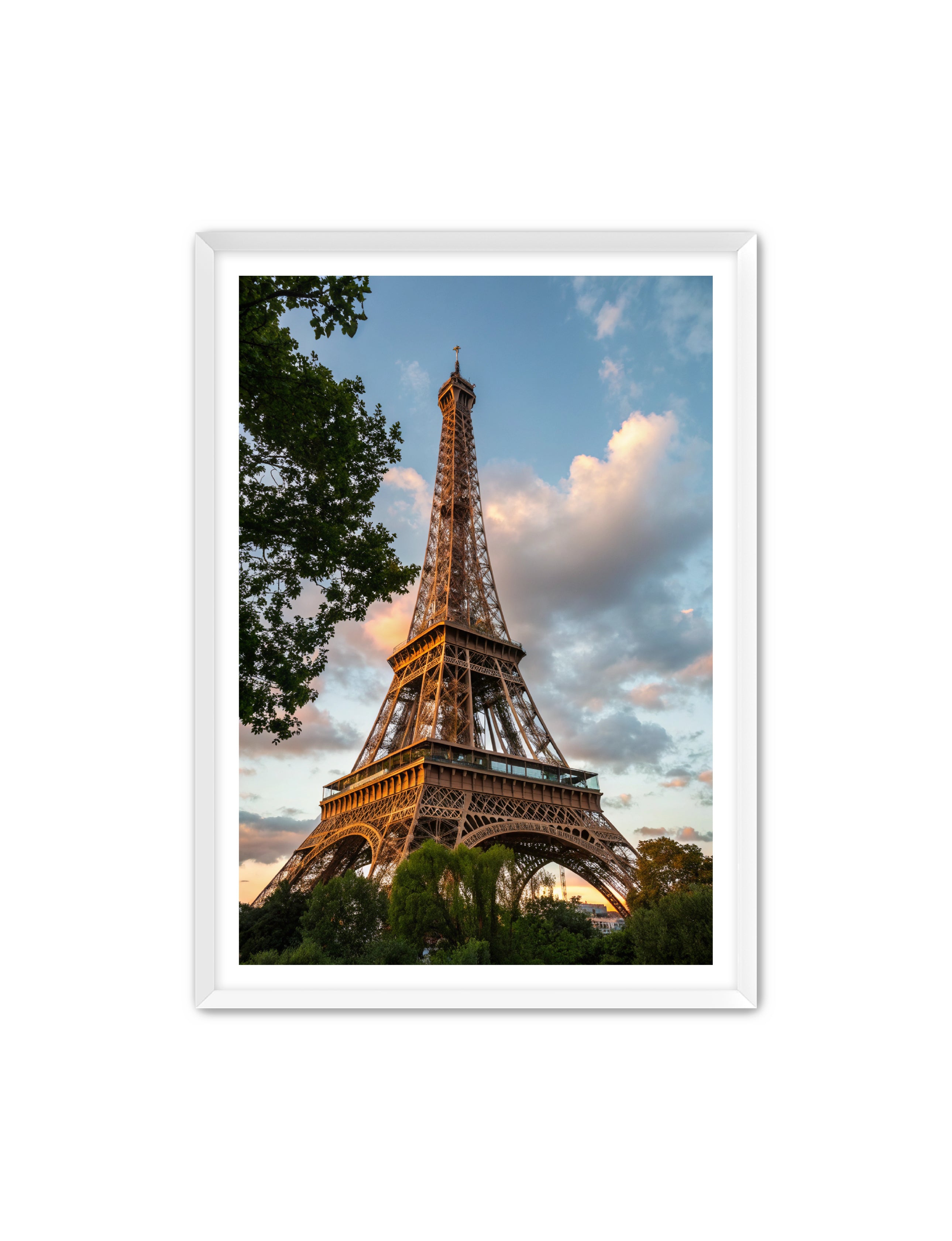 Apricus Prints 'Paris Bloom' Apricus Art Collection