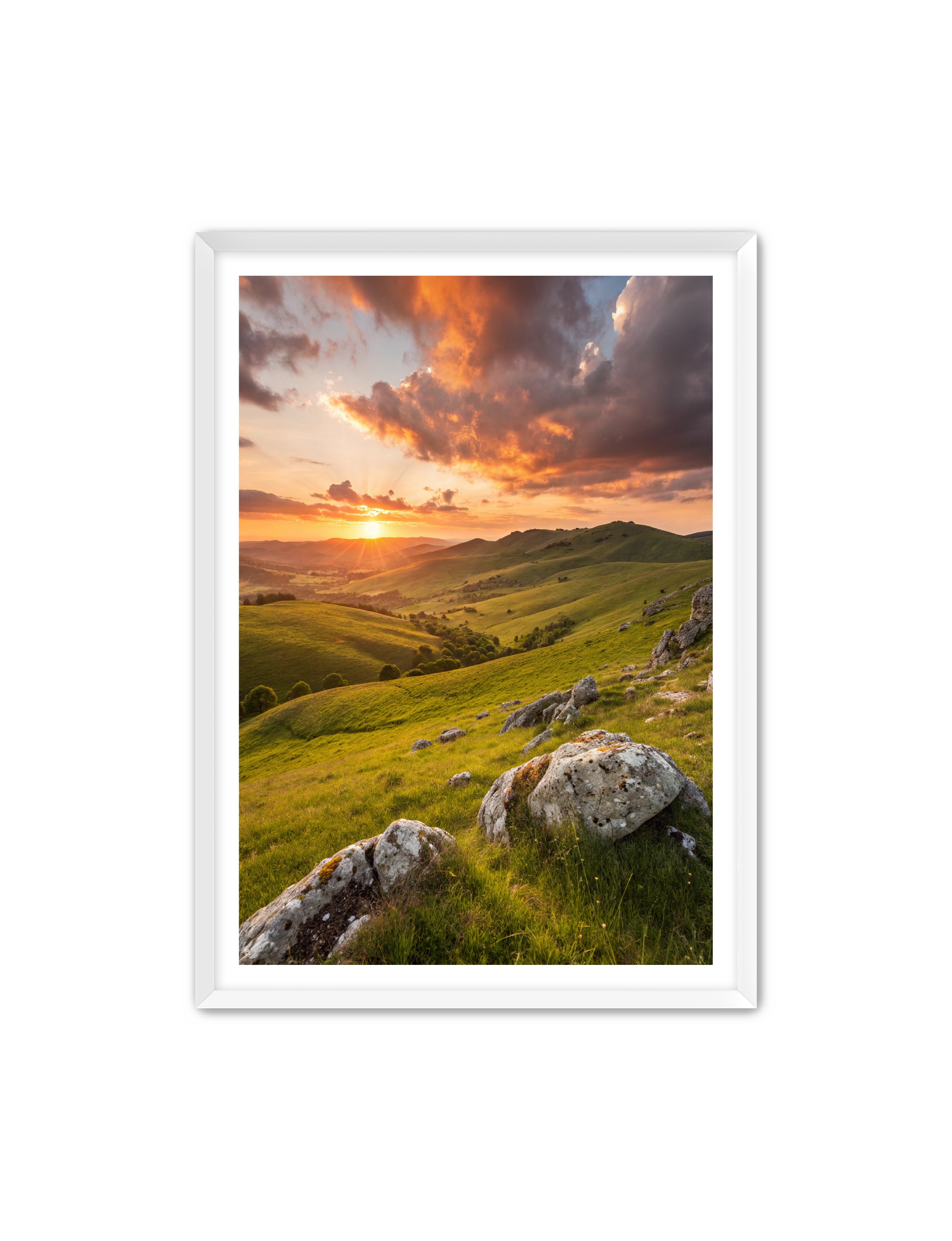 Apricus Prints 'Highland Glow' Apricus Art Collection