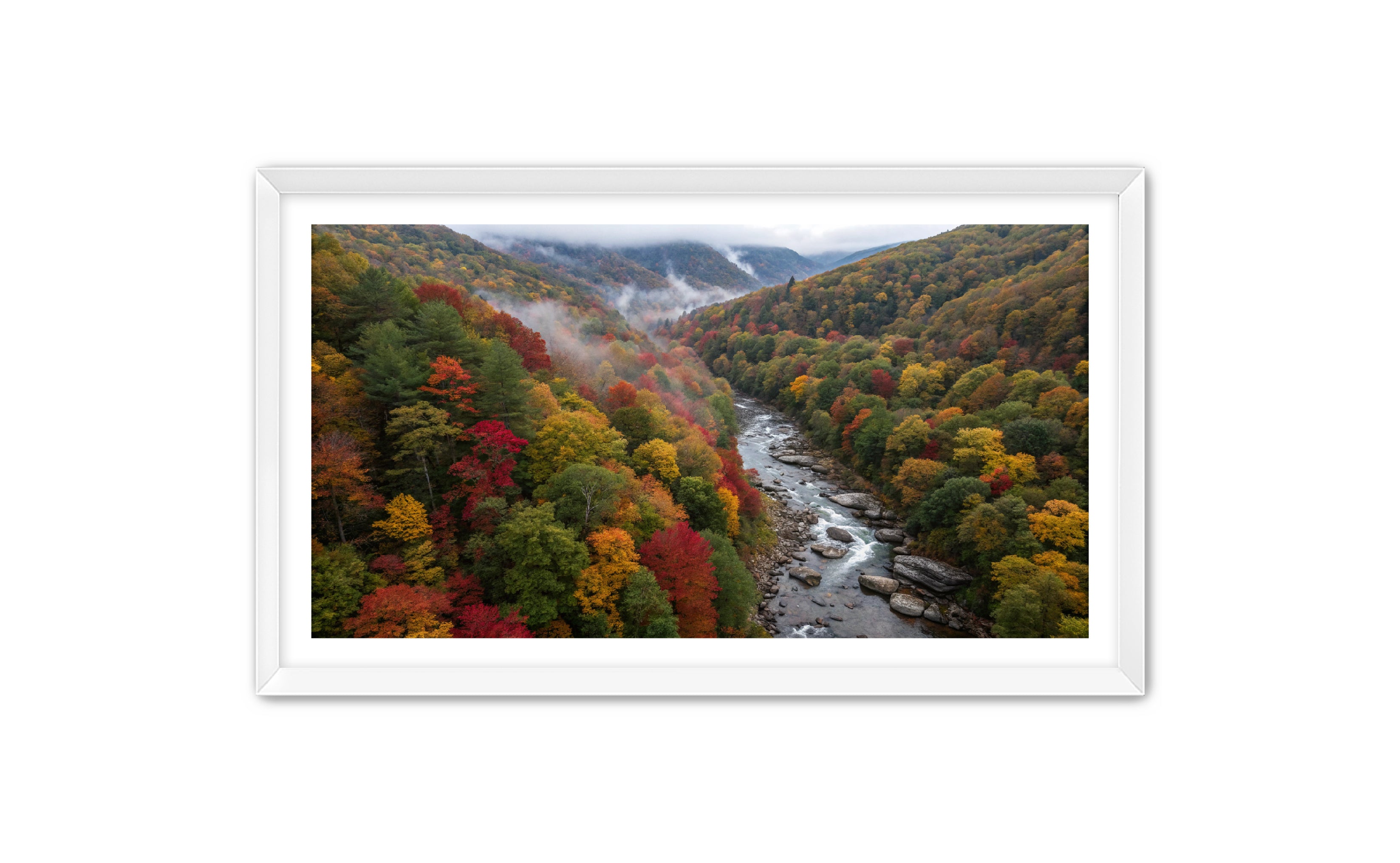 Apricus Prints 'Stick River' Apricus Art Collection