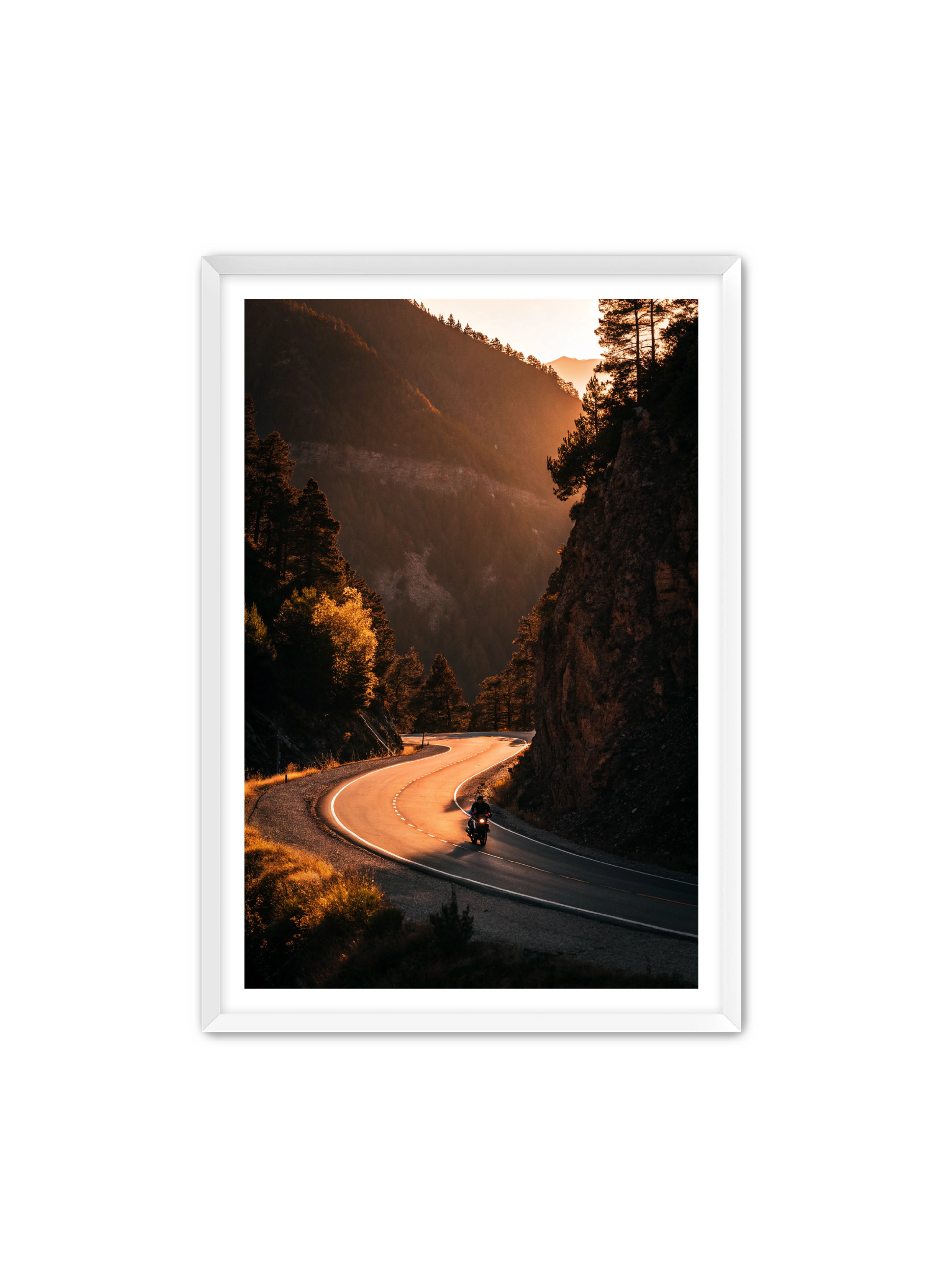 Apricus Prints 'Riding the Ridge' Apricus Art Collection