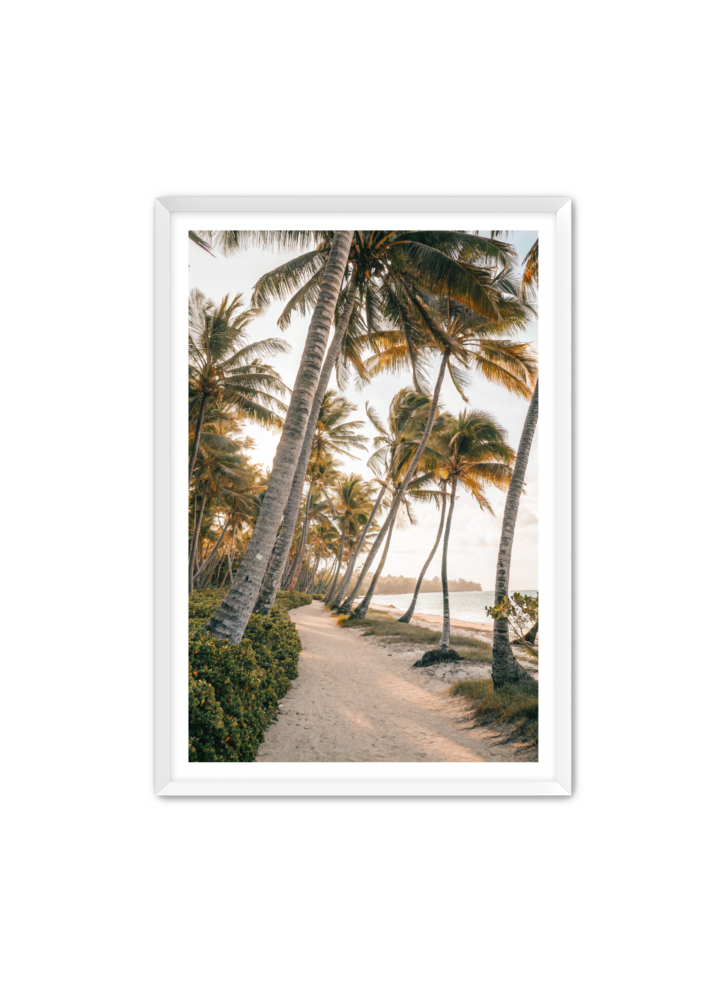 Apricus Prints Beaches 'Driftwood Dreams' Apricus Art Collection