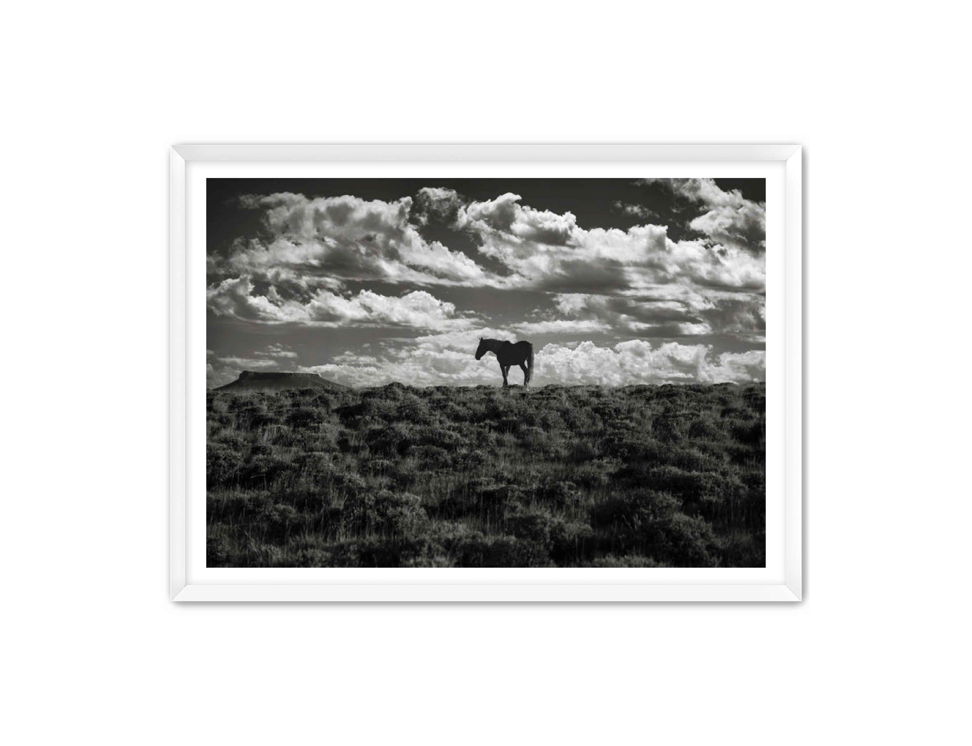 Photography Prints 'Open Range' Reed Decker