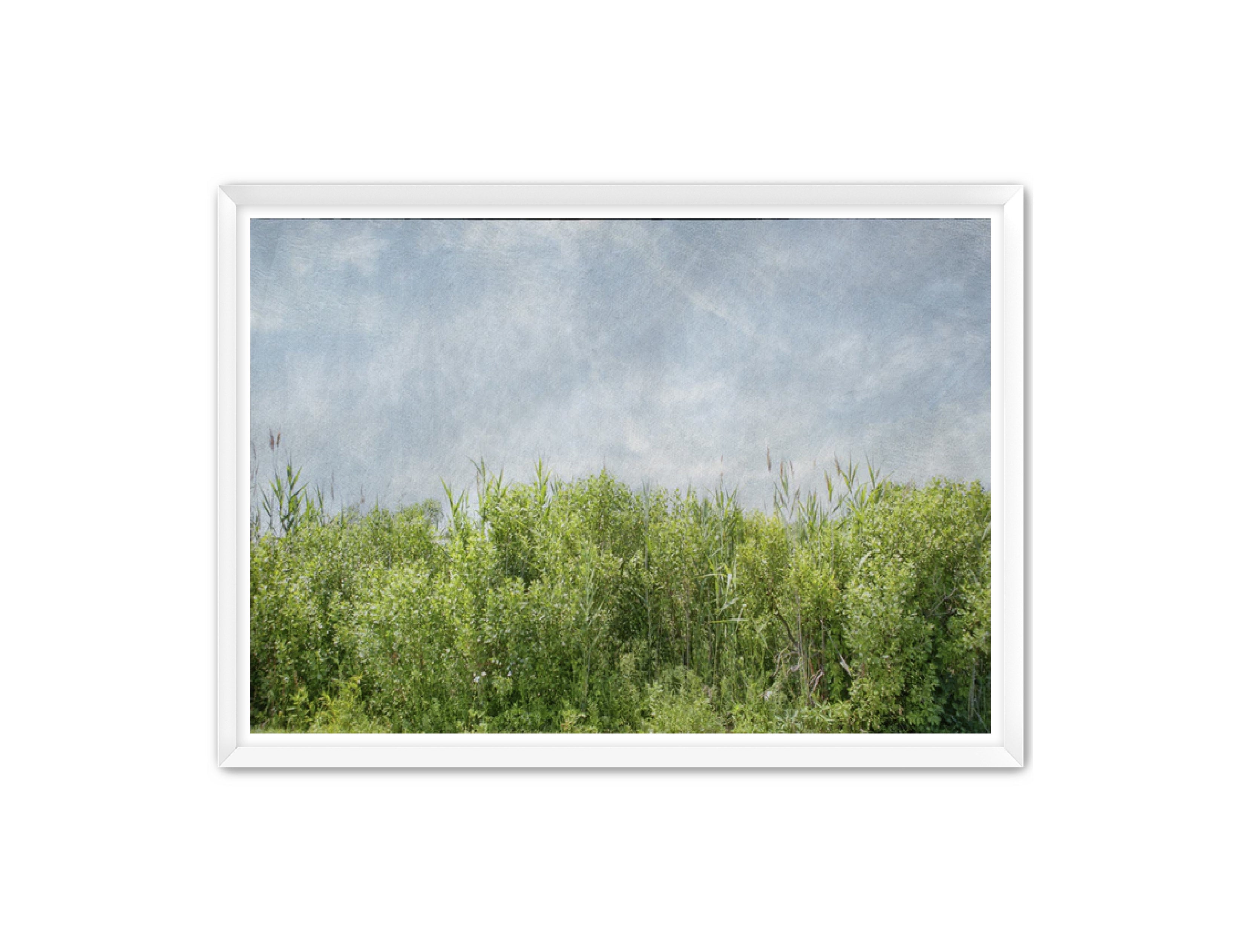 PhotoArt Prints 'BEACH BRIAR' Danielle Neumann Kelly