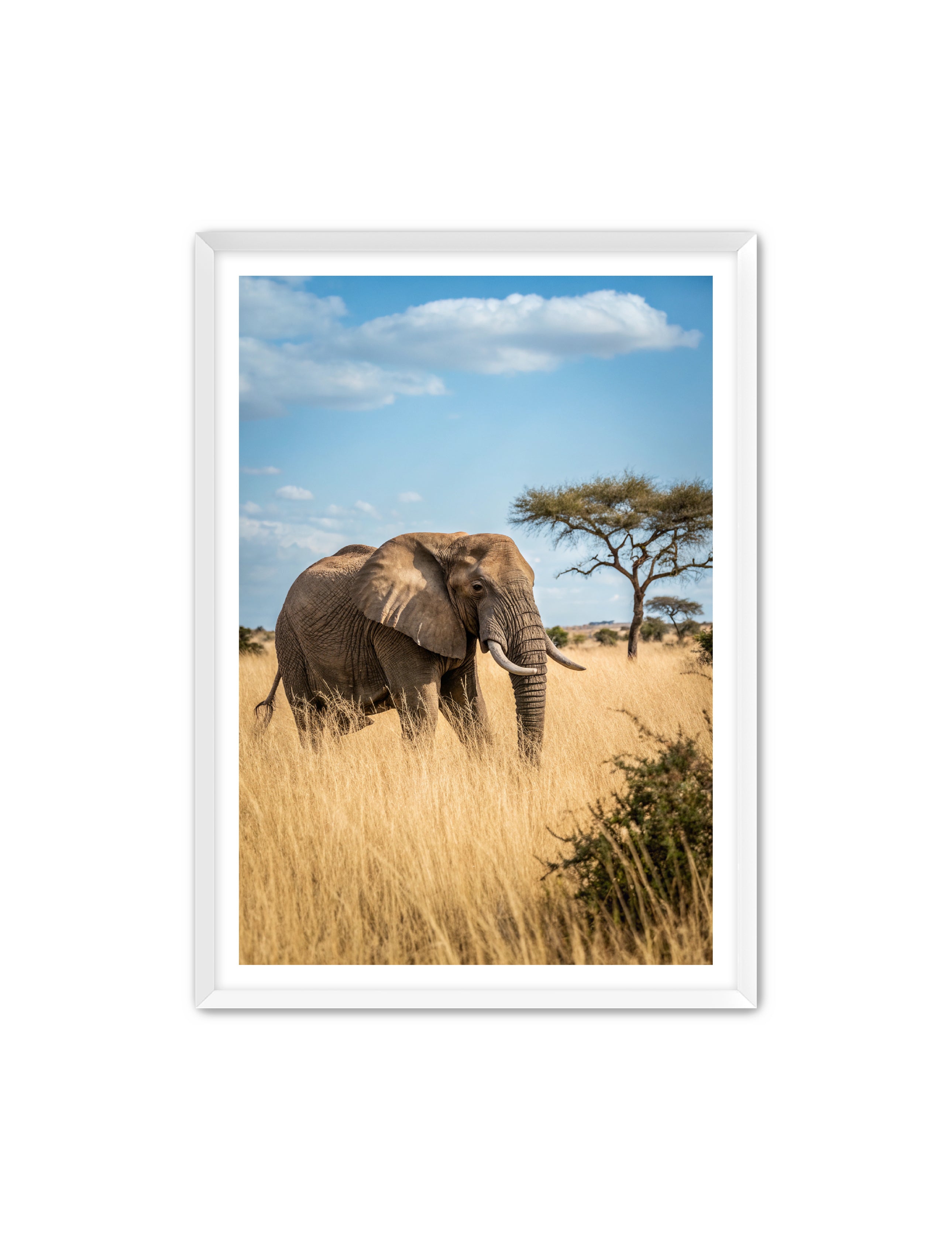 Apricus Prints 'Ellie, The Gentle Giant' Apricus Art Collection